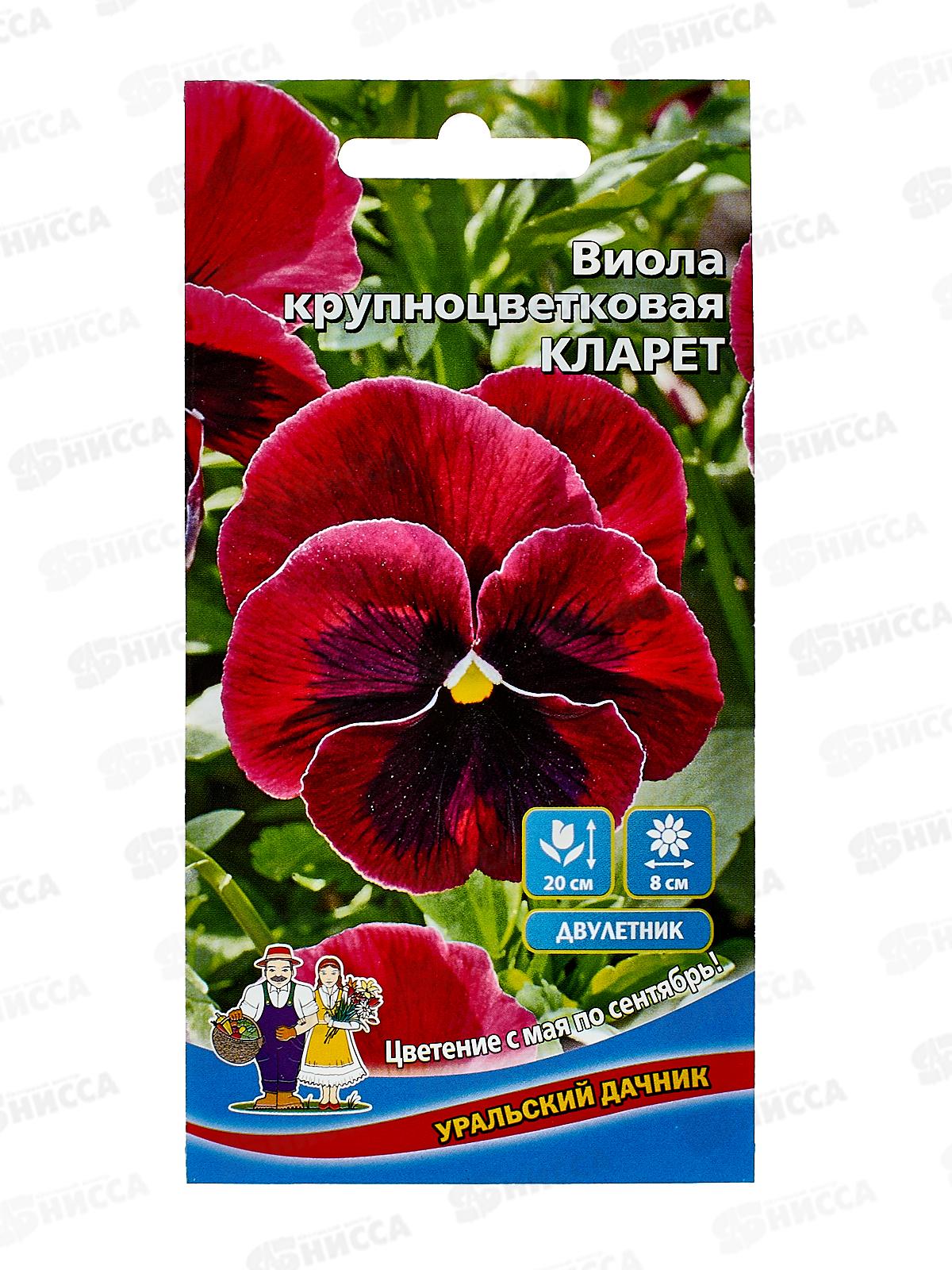 Виола Кларет Евро *10 УрД