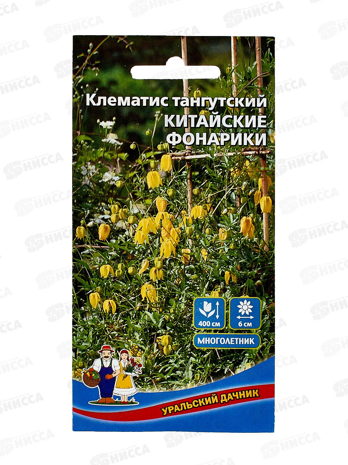 Клематис Китайские фонарики Евро *10 УрД