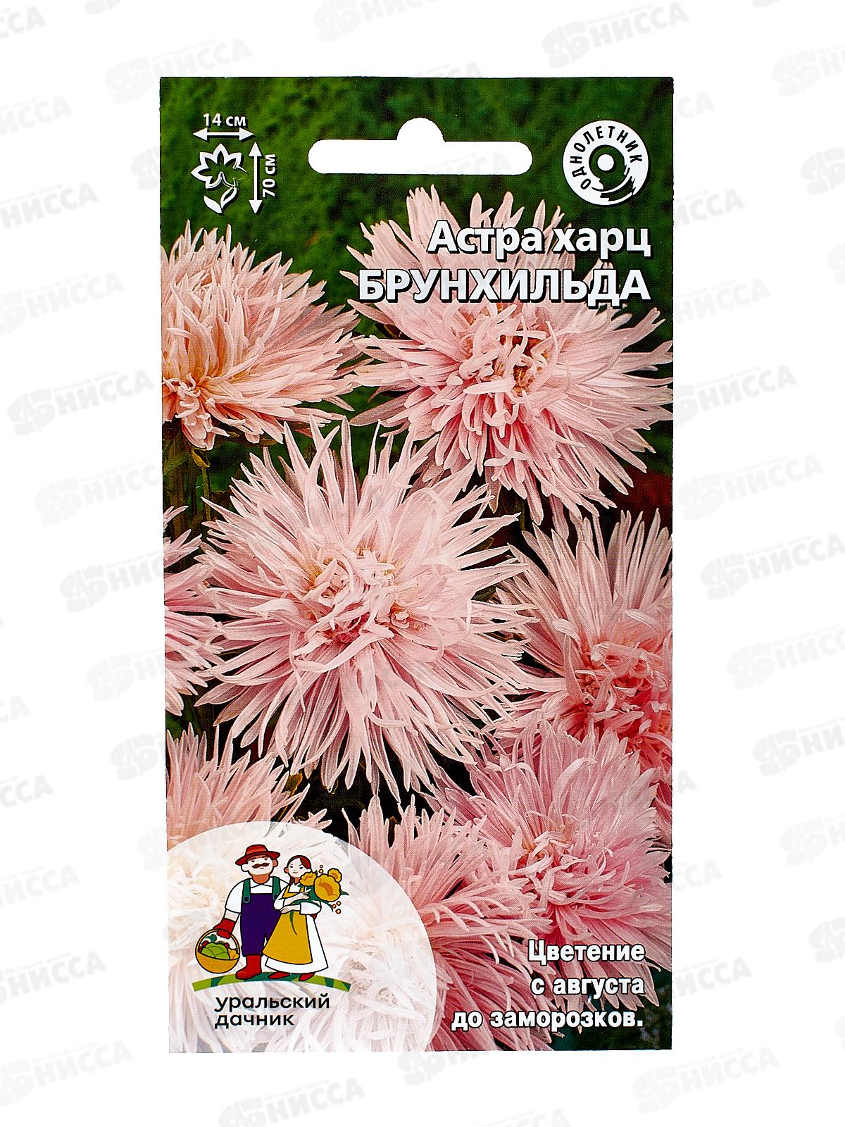 Астра Брунхильда Евро *10 УрД