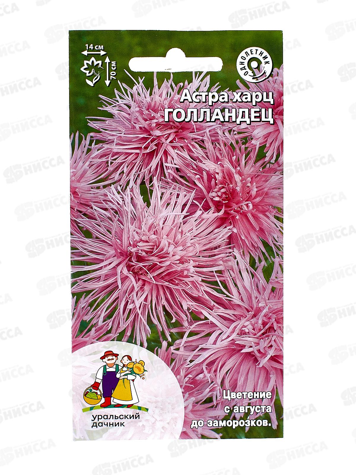 Астра голландец Евро харц *10 УрД +