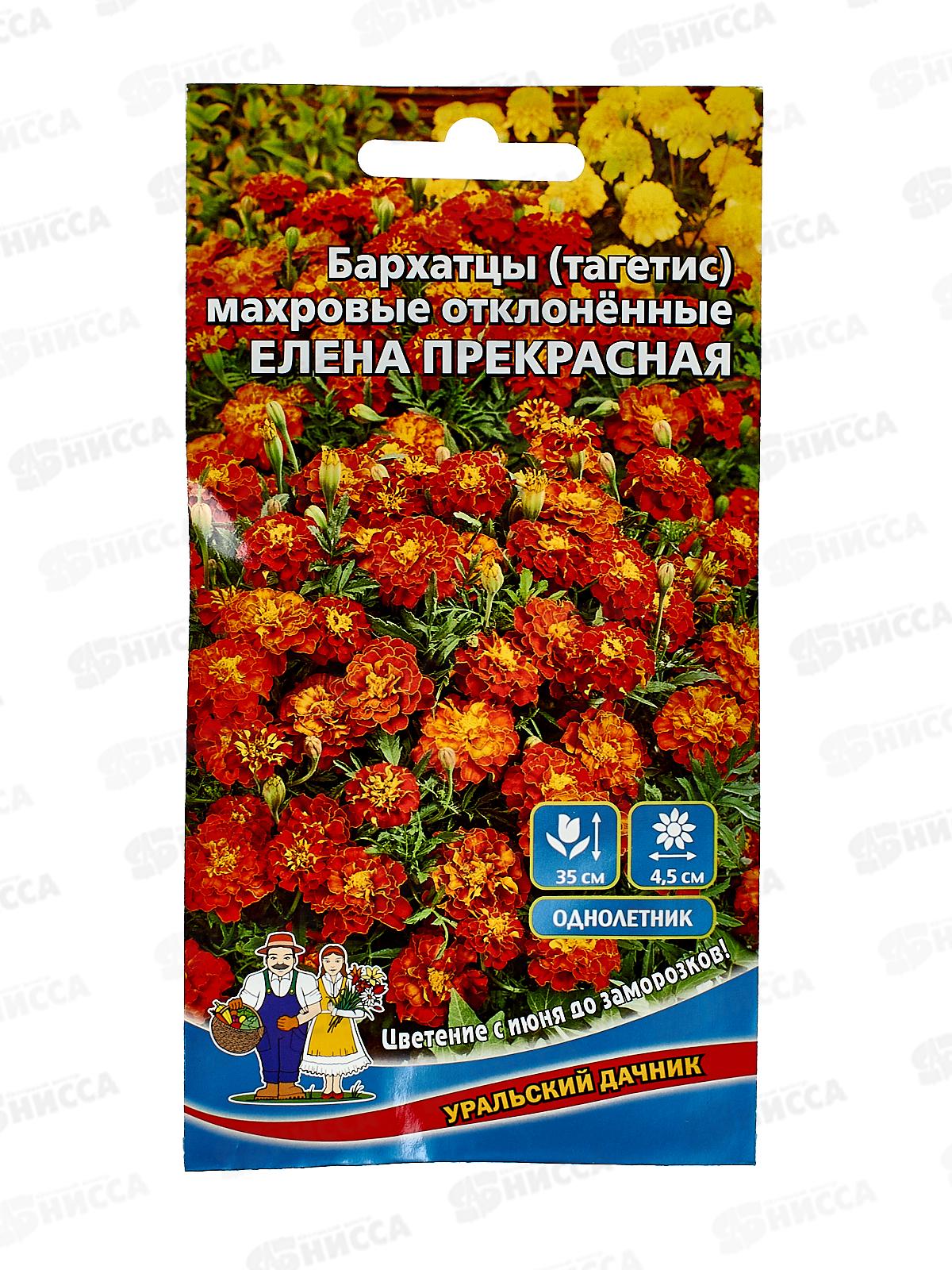 Бархатцы Елена прекрасная Евро *10 УрД