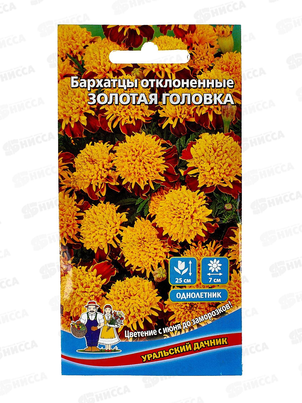 Бархатцы Золотая головка Евро УУ *10 УрД