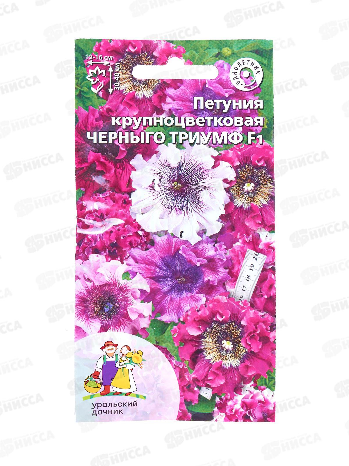 Петуния Черныго триумф F1 Евро *10 УрД