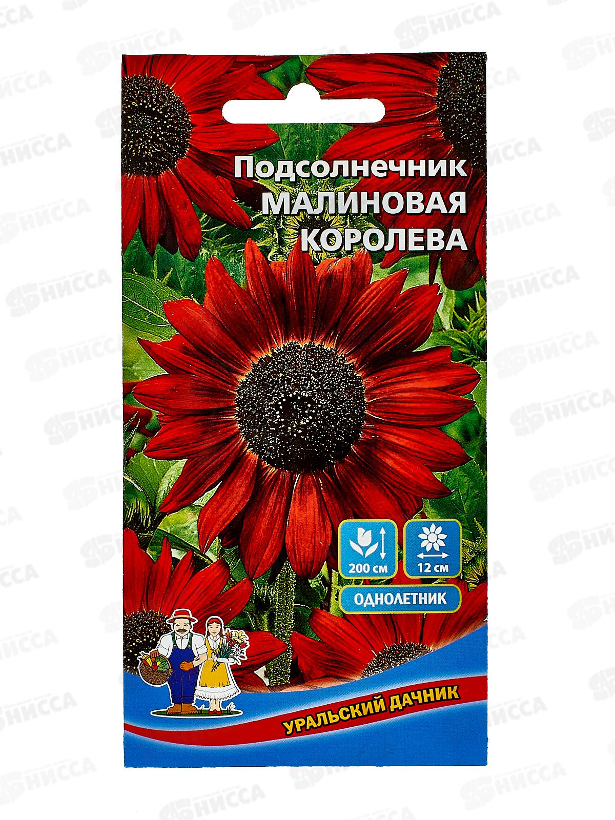 Подсолнечник Малиновая королева Евро *10 УрД