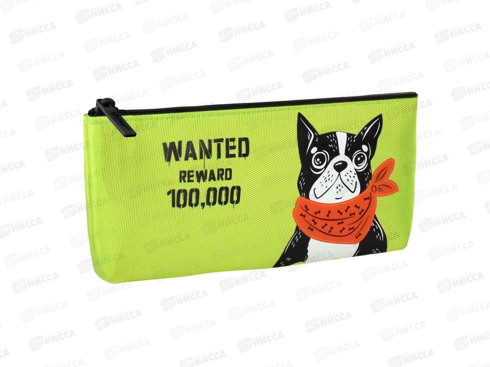 Пенал ФЕН Бандана бэнд,61301*12