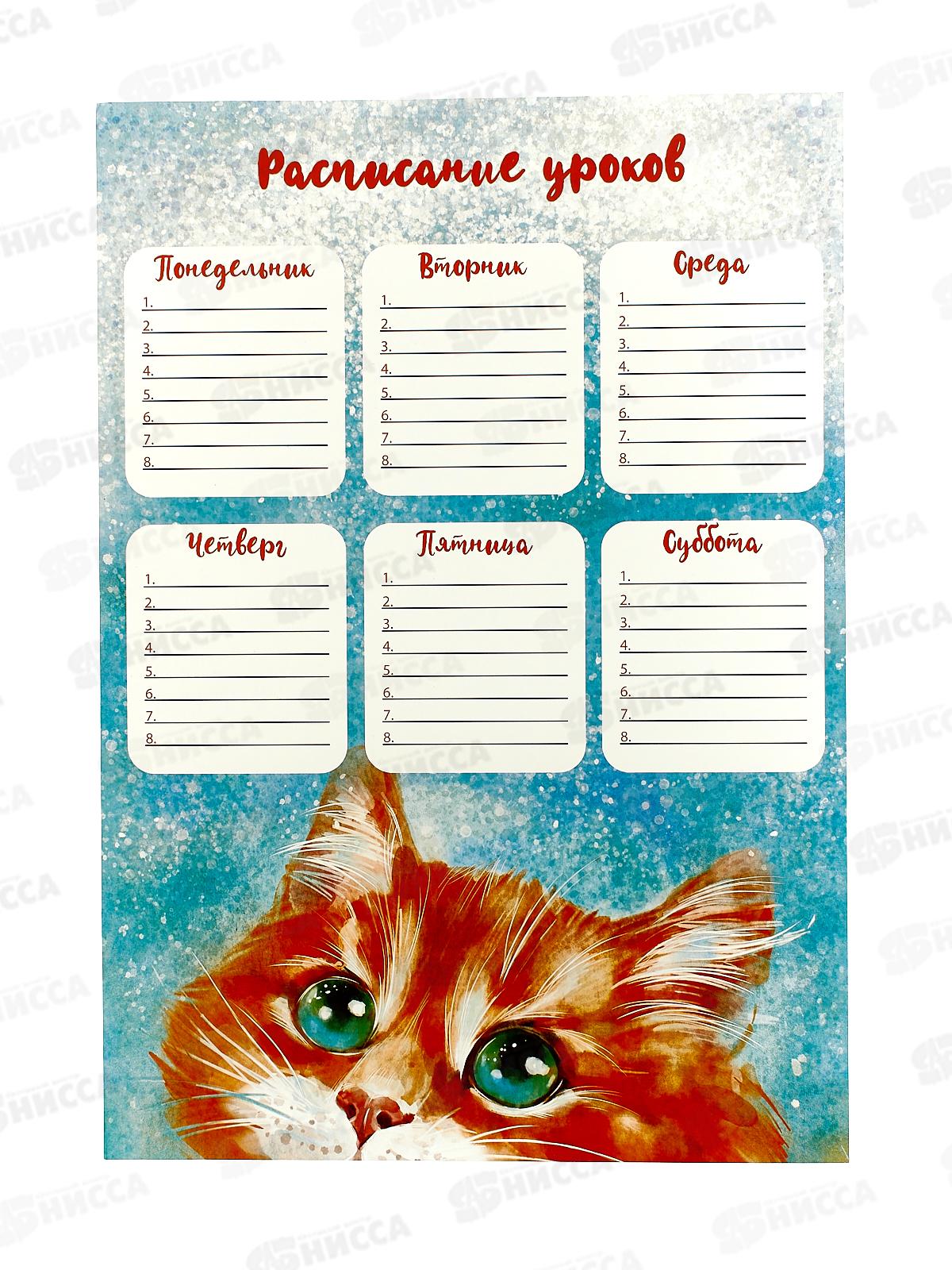 Расписание уроков А4 ФЕН Рыжий котик,63537*100