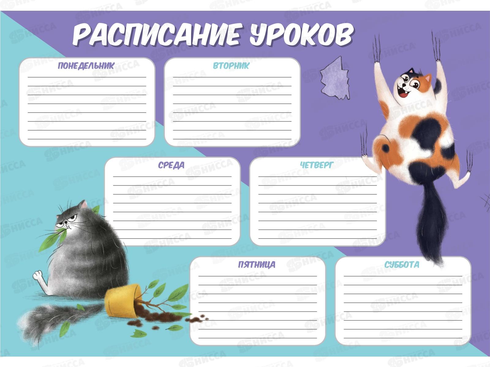 Расписание уроков А4 ФЕН Озорные котики,63543 *100