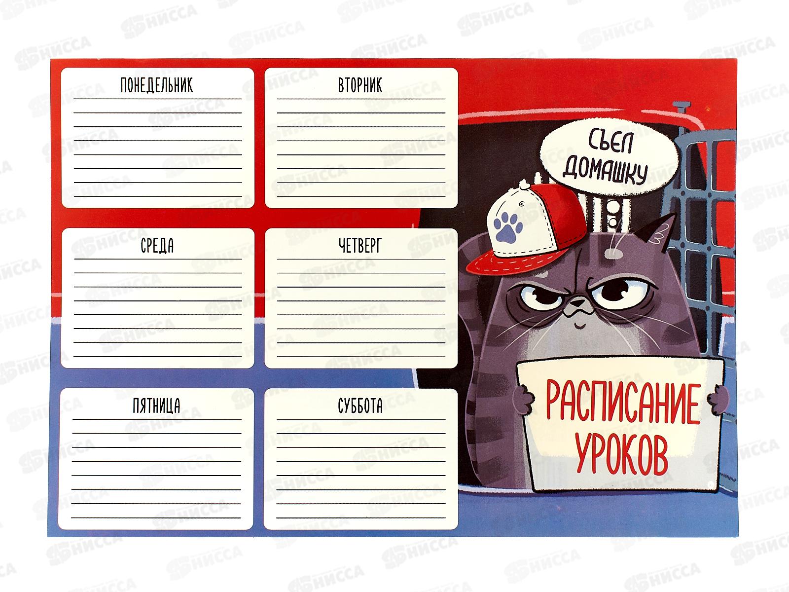 Расписание уроков А4 ФЕН Опасный преступник,60349*100