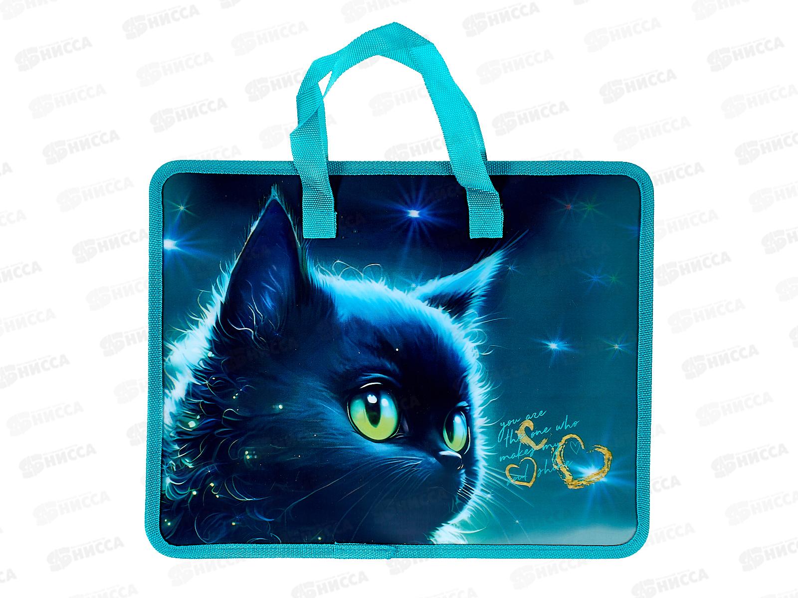 Папка д/тетр. deVente Black Cat Изо и технологии., А4 пластик 8054472