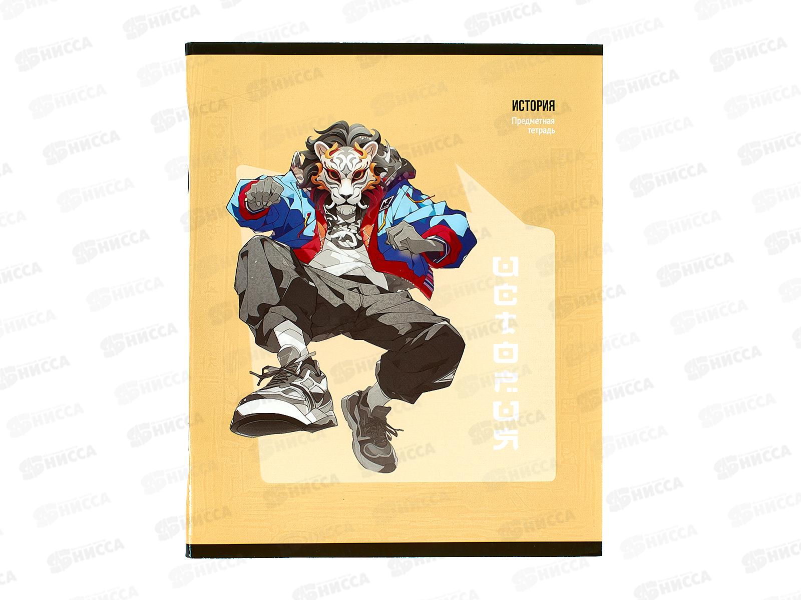 Тетрадь 48л кл. ПП &quotМАНГА&quot История, Т48-1492 *10/80