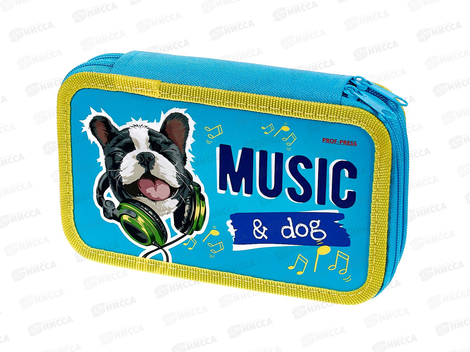 Пенал 2-секц ПП большой Щеночек с наушниками, 190х115, ПН-1362 *32