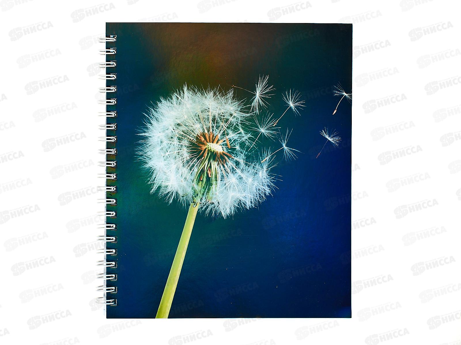 Тетрадь 96листов клетка  ЭКСМ А5 На контрасте, греб., ТС968552 *4/40