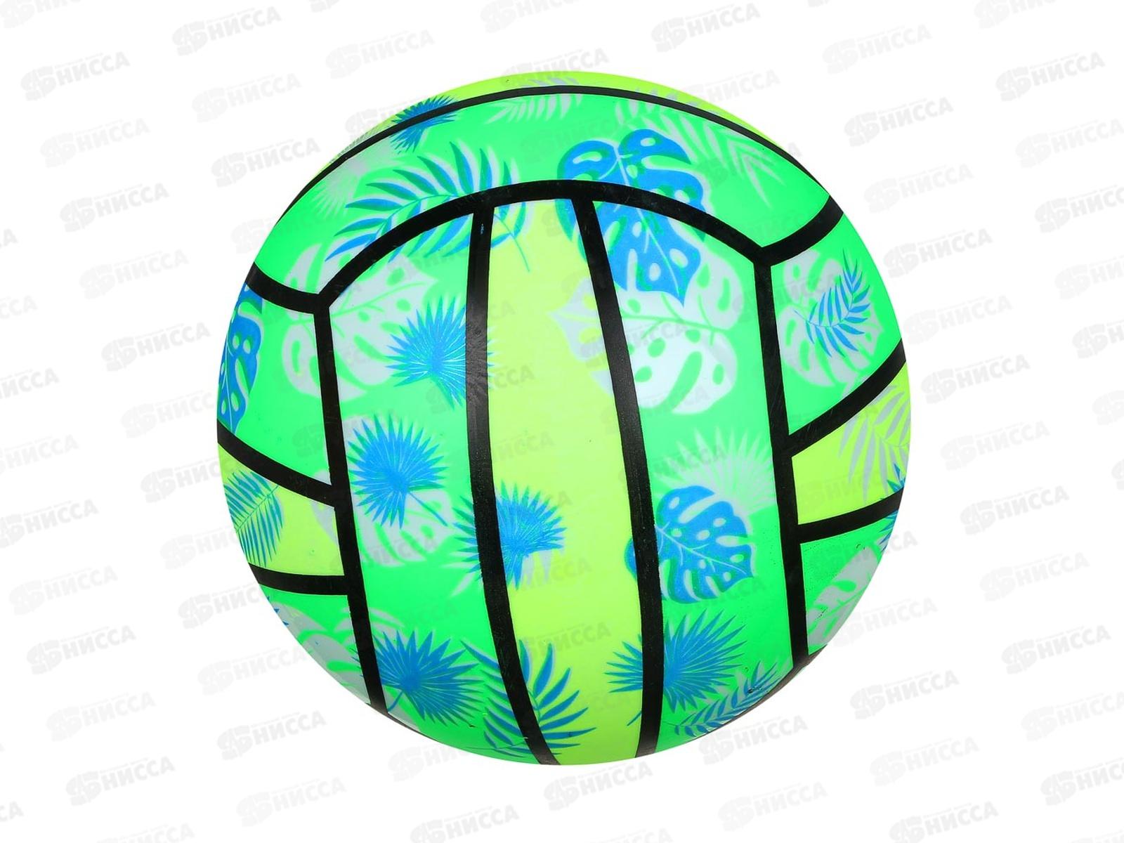 Мяч детский Пальмовая ветвь 22см SILAPRO 134-196 г