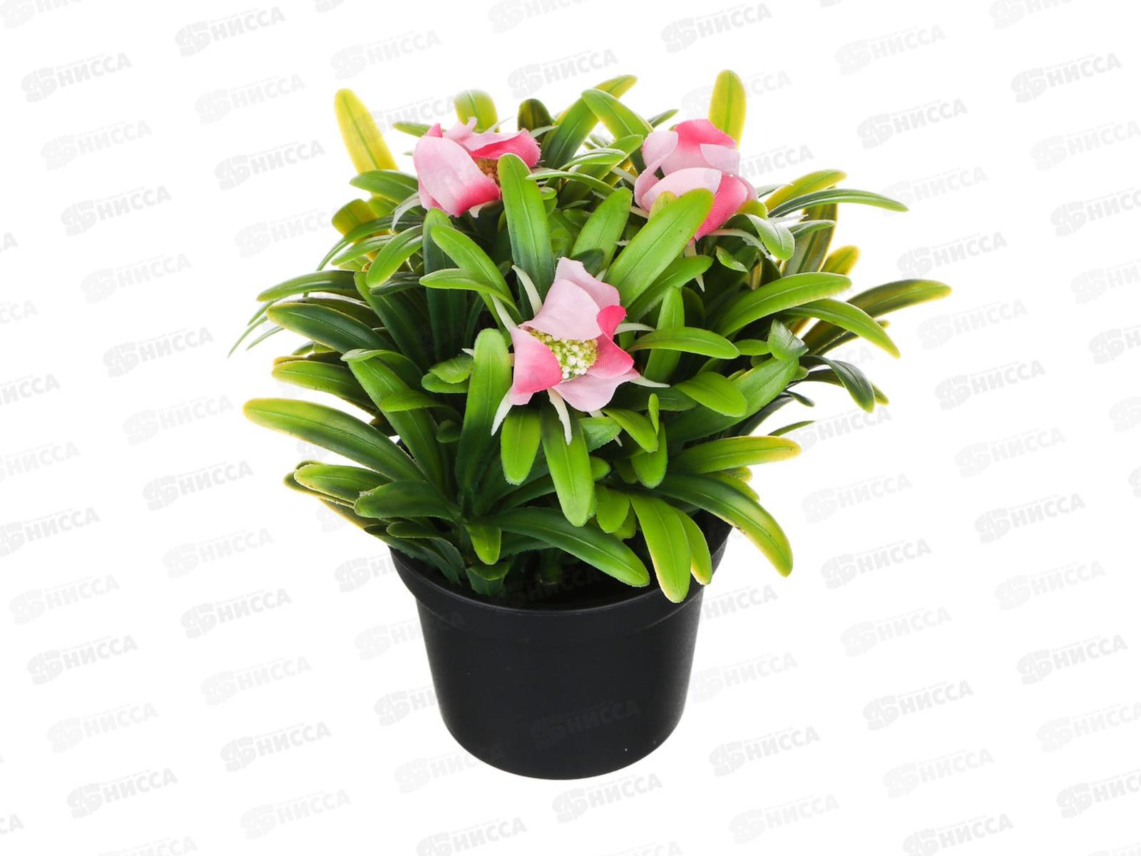 Композиция в горшке Зелень с цветами 14см 501-569 г