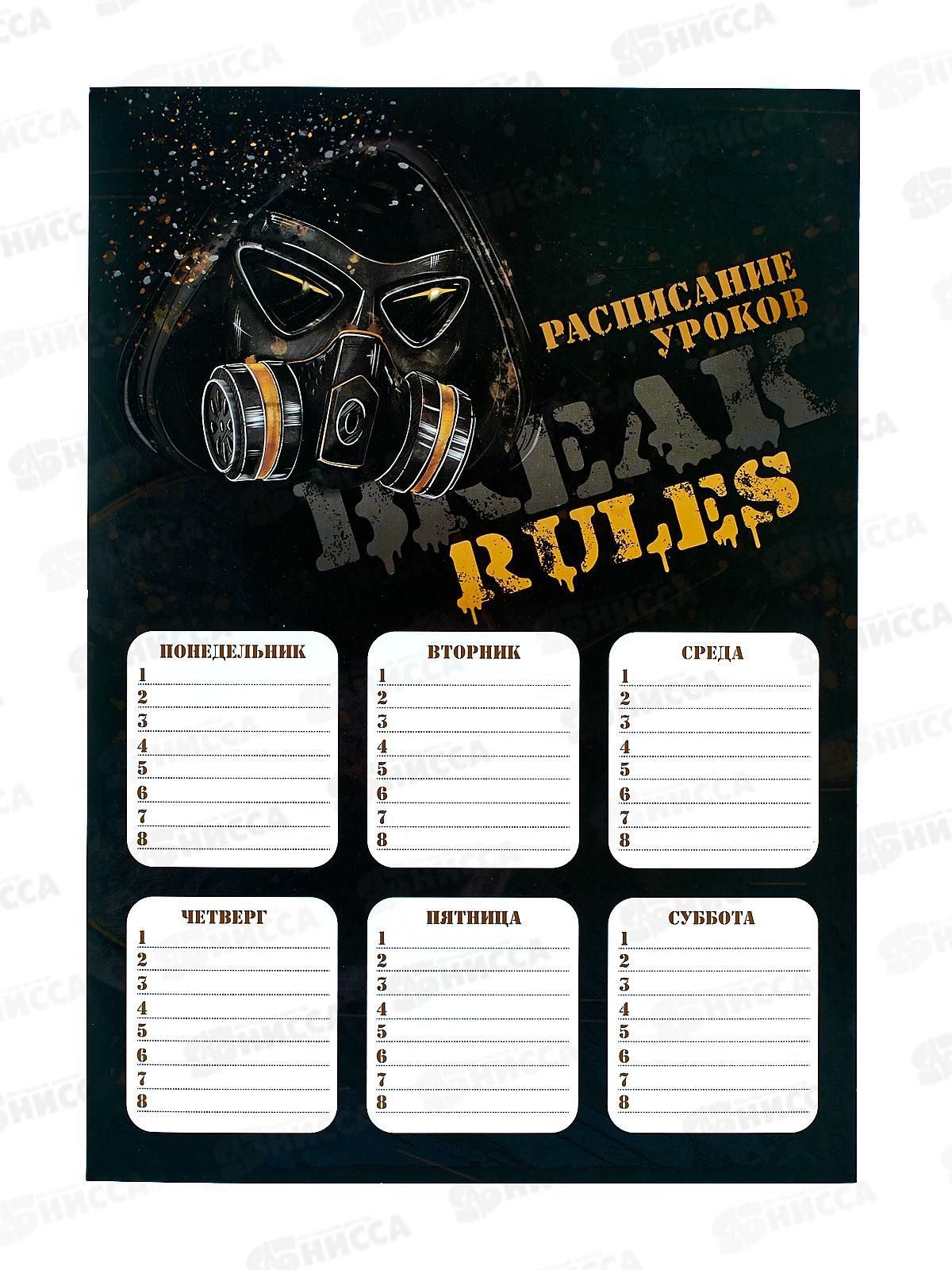 Расписание уроков А4 ФЕН Темный райтер 63539 *100
