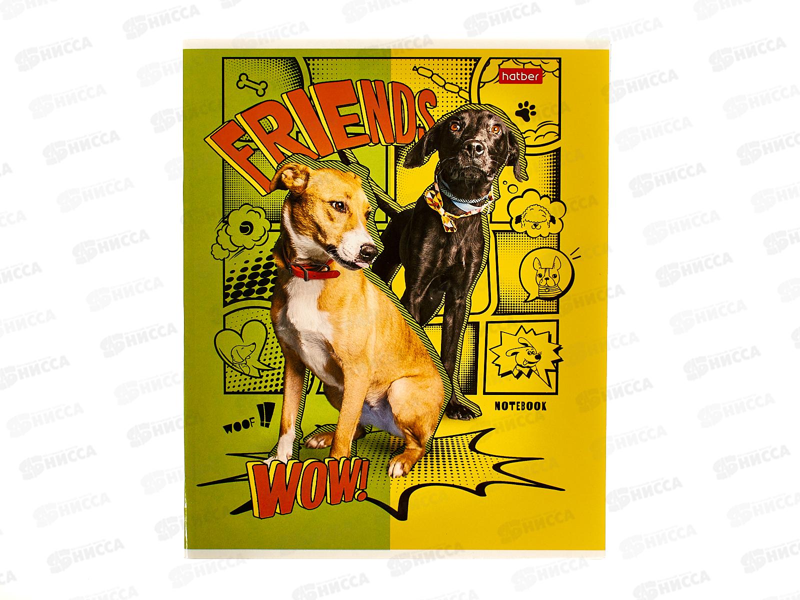 Тетрадь 40листов клетка  Hatber Dog friends 086265 *10/100
