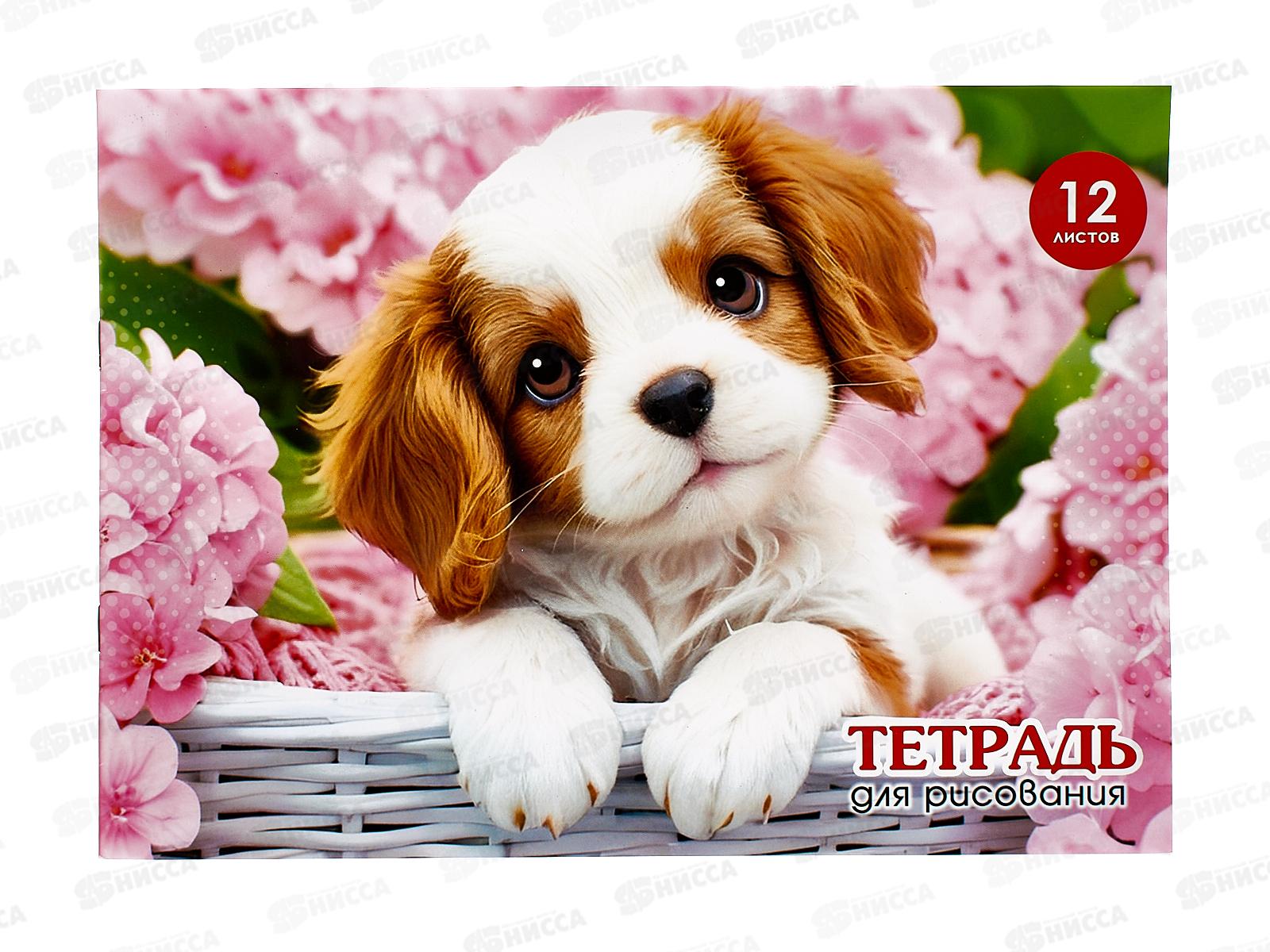 Альбом для рисования 12л ПГС Дом,питомцы, А4, скрепка *20