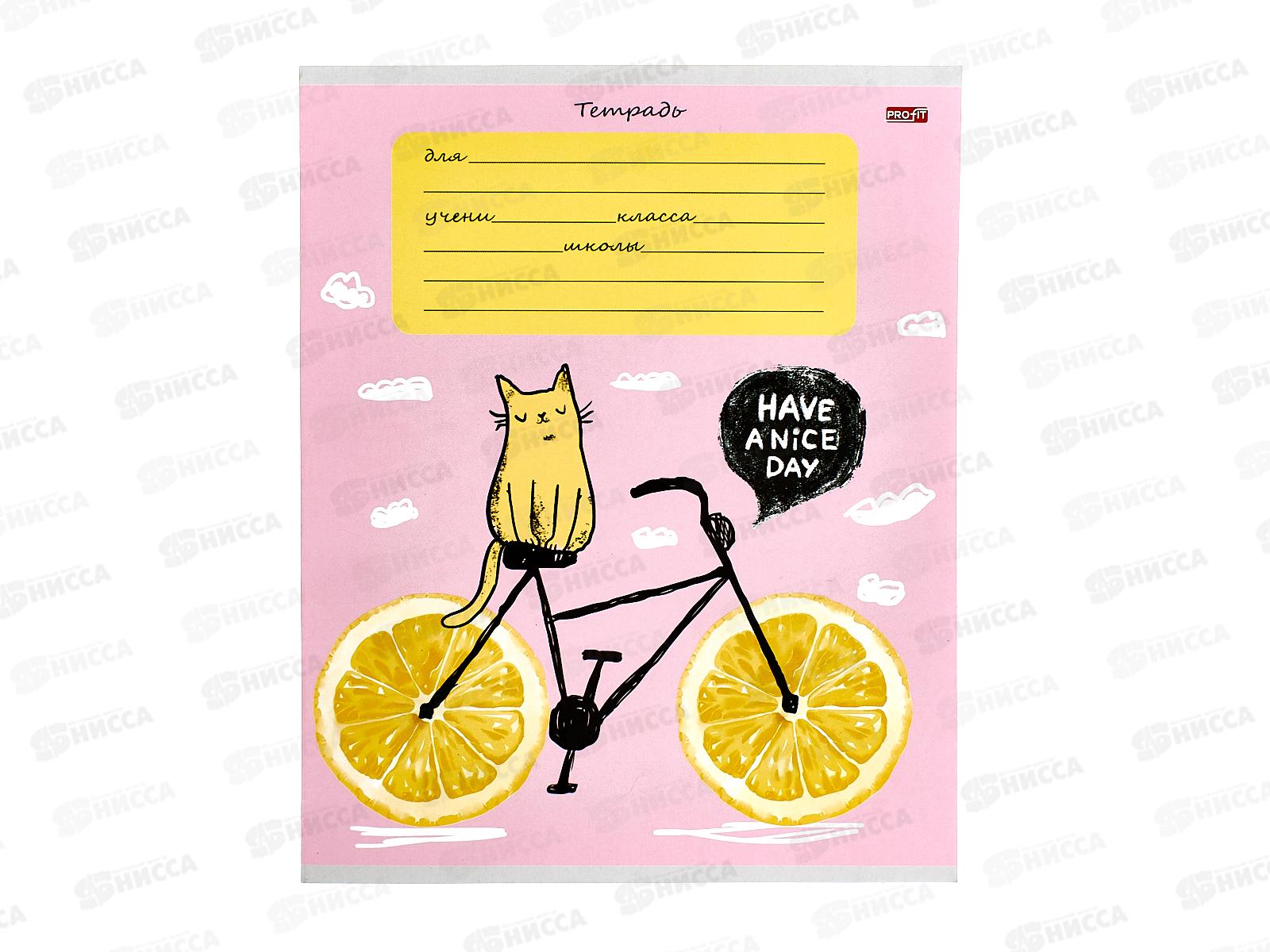 Тетрадь 12листов клетка Profit Микс для девочек, 5дизайнов, 12-2736 *25/250