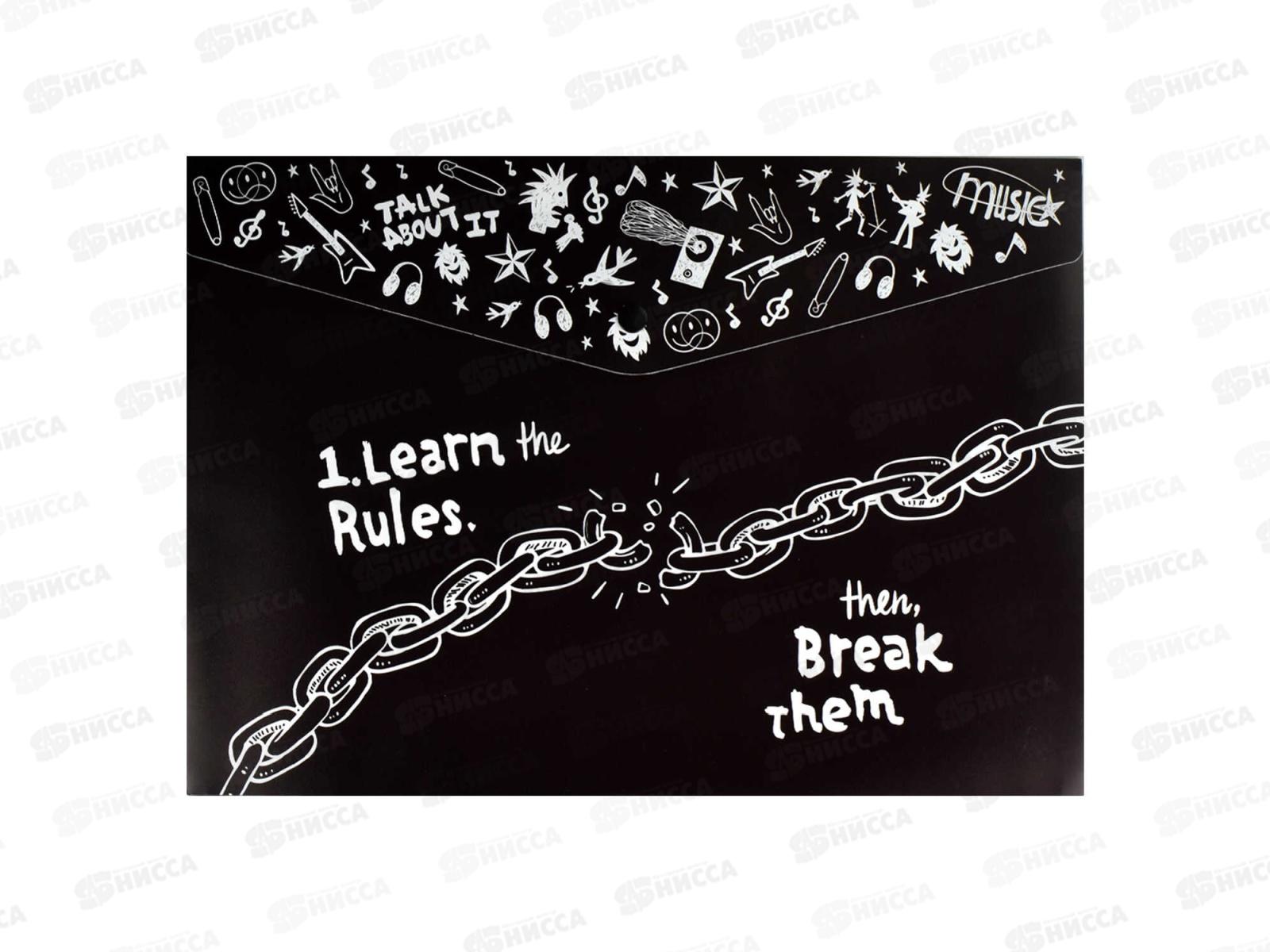 Папка  для тетрадей ФЕН А4 Панк 2, пластиковая, 66326*12