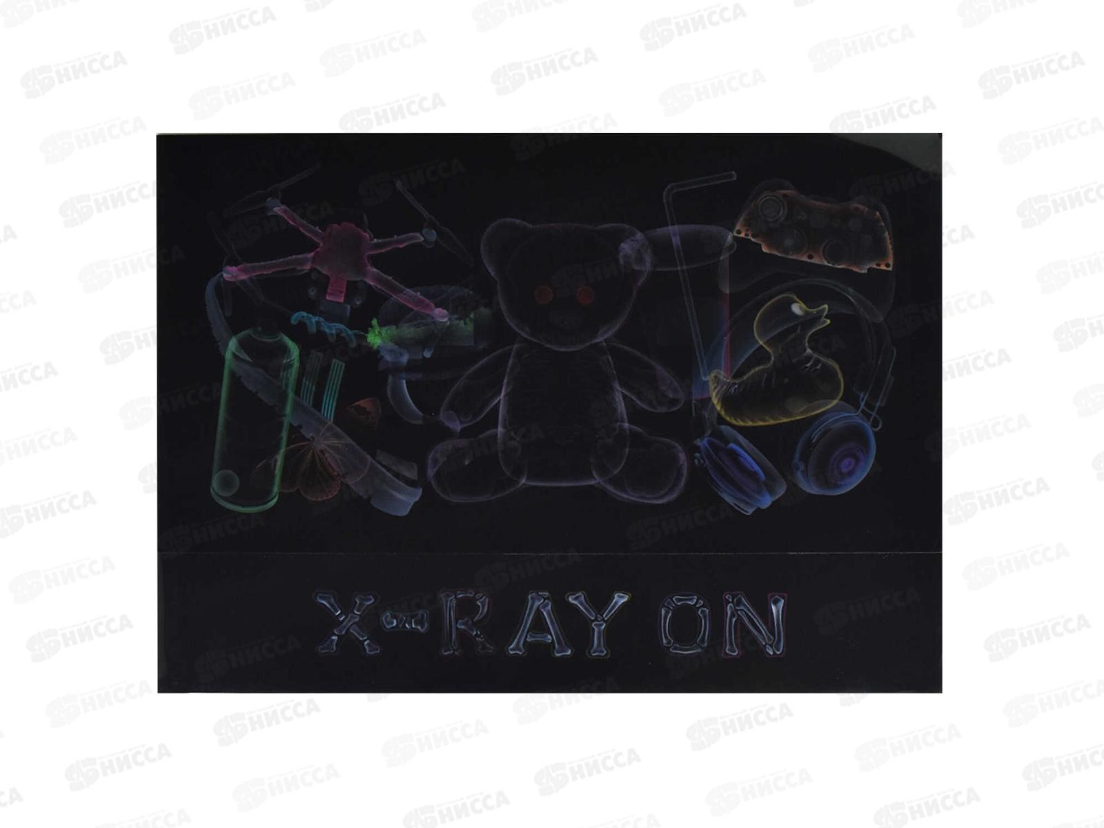 Папка  для тетрадей ФЕН А4 Рентген, пластиковый, 66331*12