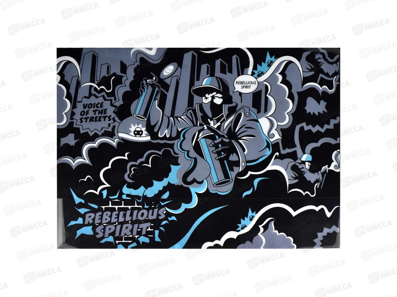 Папка  для тетрадей ФЕН А4 Бунтарский дух,66332*12