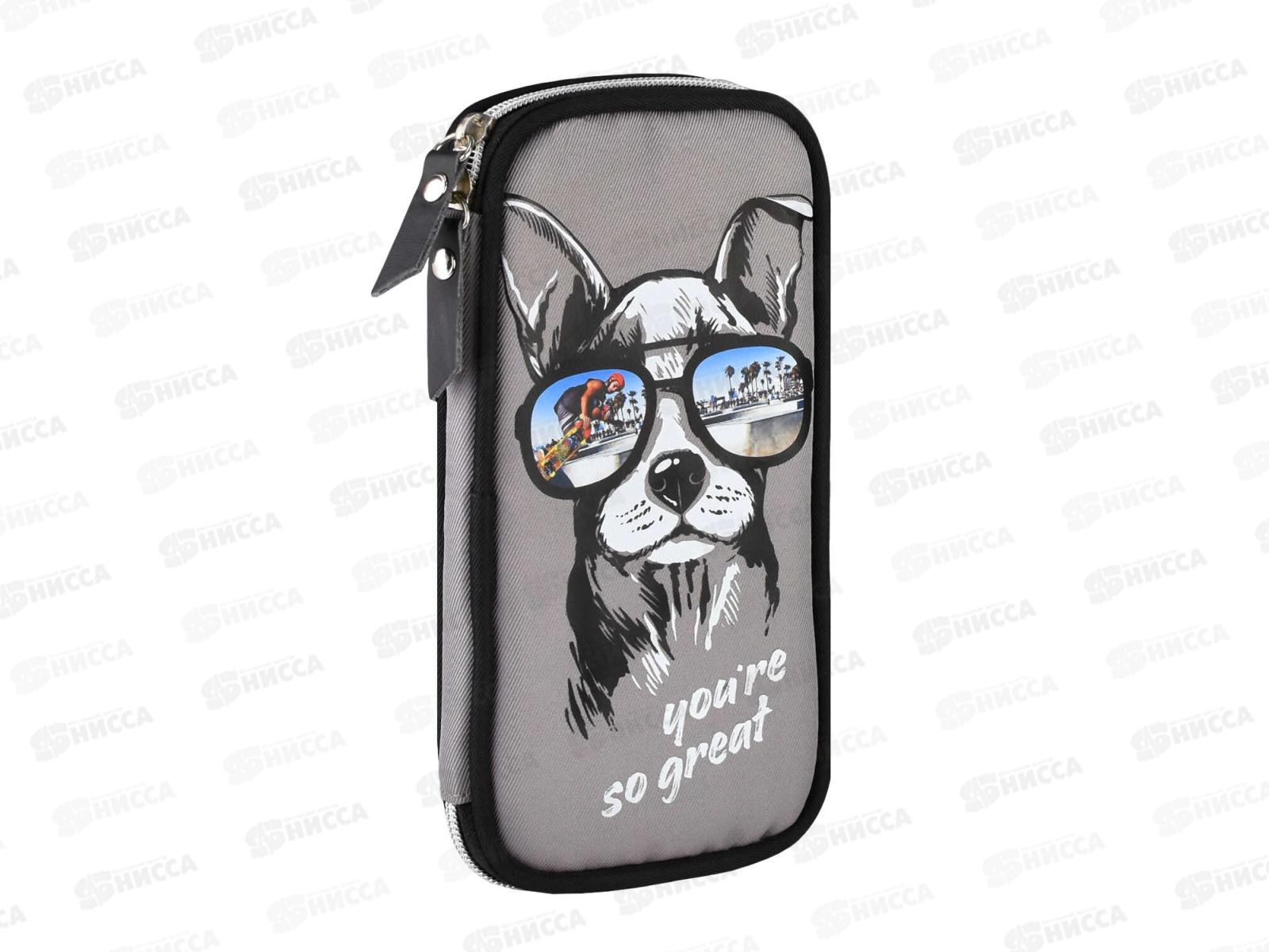 Пенал ФЕН  Собака в очках,62045*12