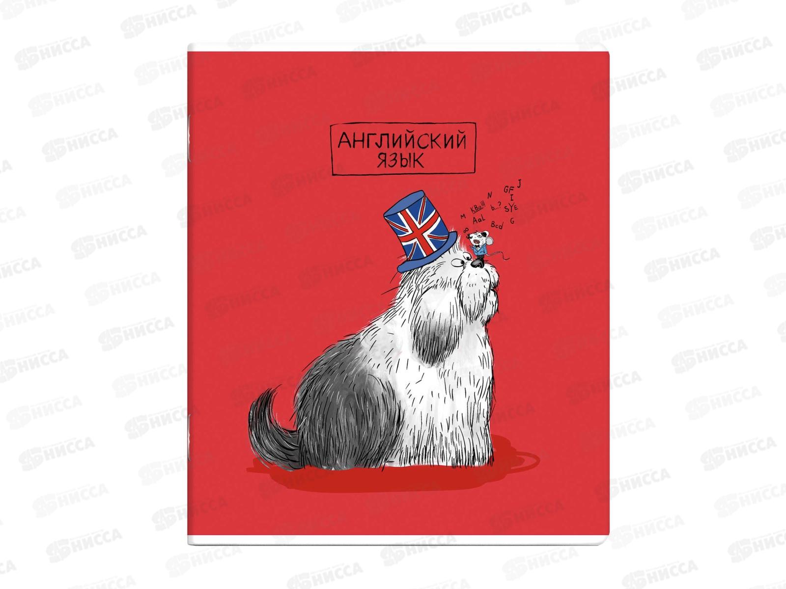 Тетрадь 48листов клетка. ФЕН  Англ.язык,Пёс ученый, 63412*16/48