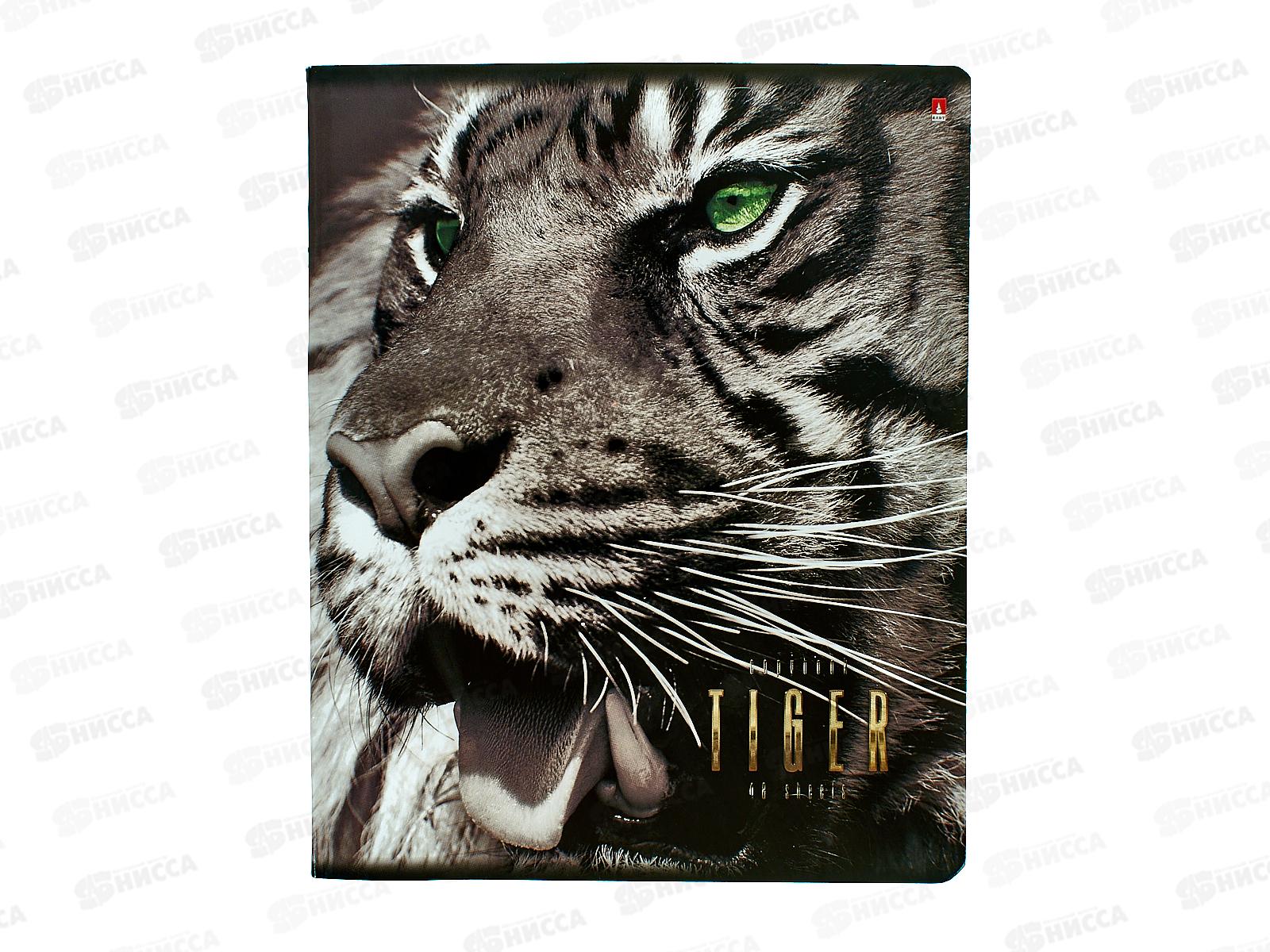 Тетрадь 48листов клетка  АЛЬТ &quotБольшие кошки&quot 5видов 7-48-366*10/60