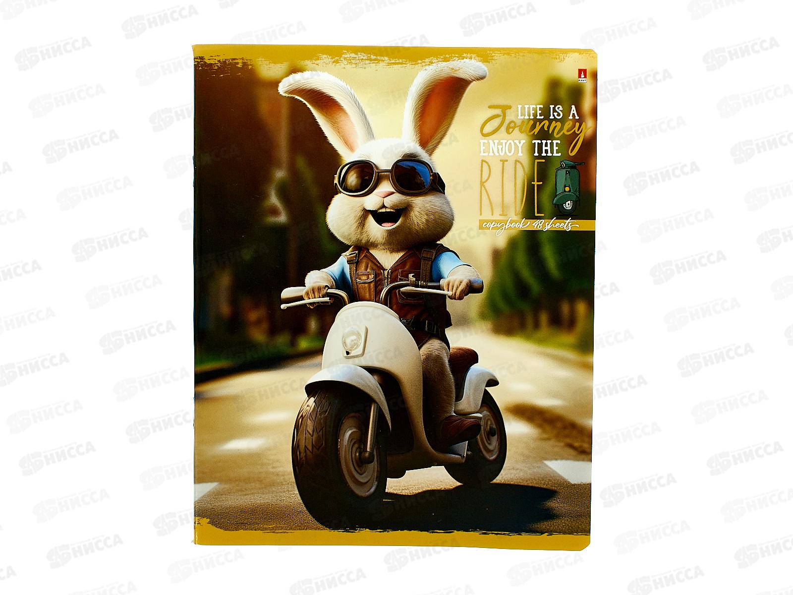 Тетрадь 48листов клетка АЛЬТ &quotПушистый байкер&quot 5видов 7-48-1296*10/60