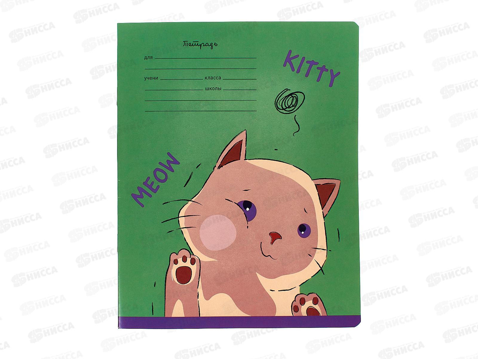 Тетрадь 18листов линия BG Mix-12 Девочки 11728 *12/144