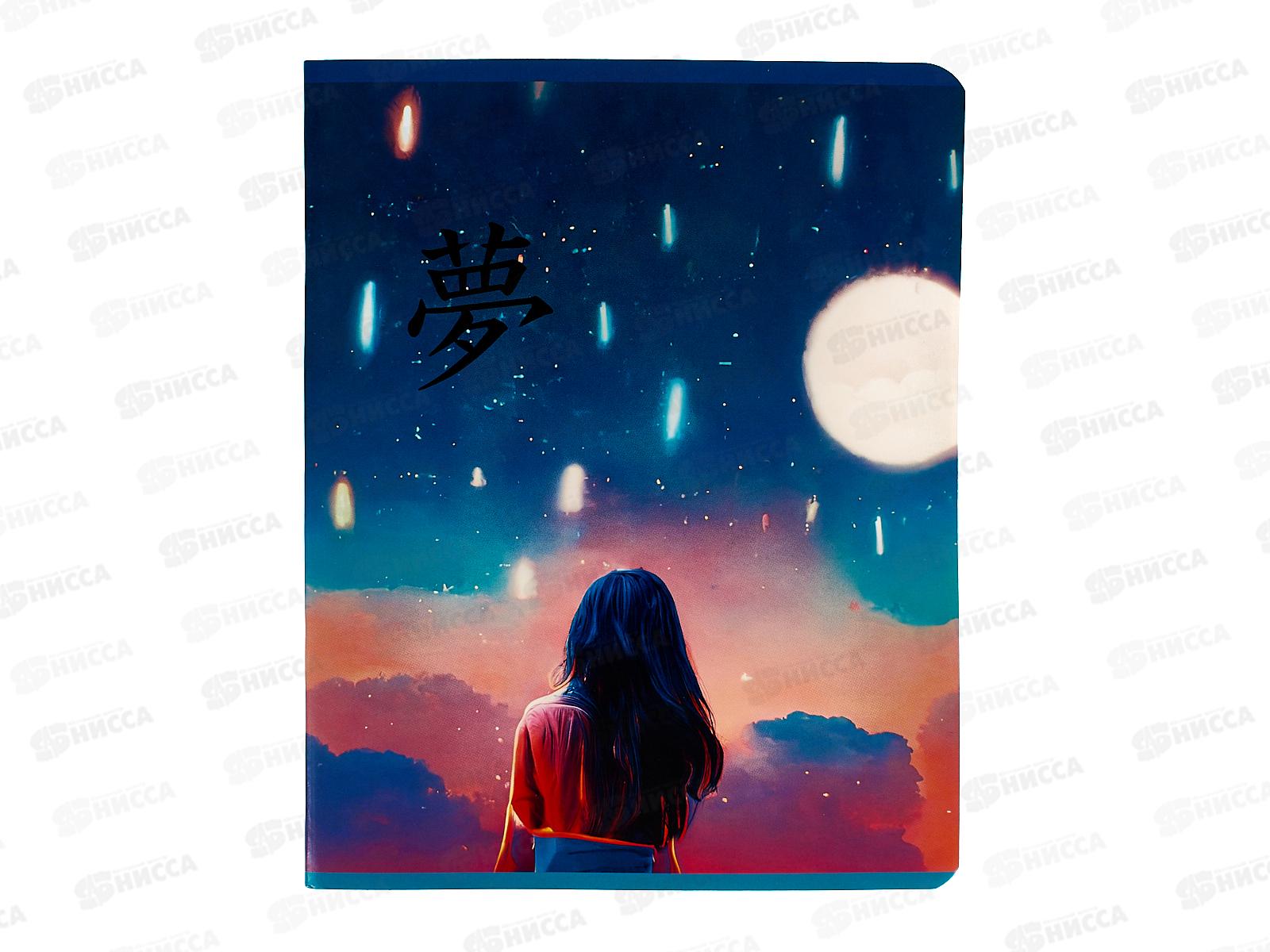 Тетрадь 48листов клетка  BG Аниме. За мечтой. 12235 *4/56