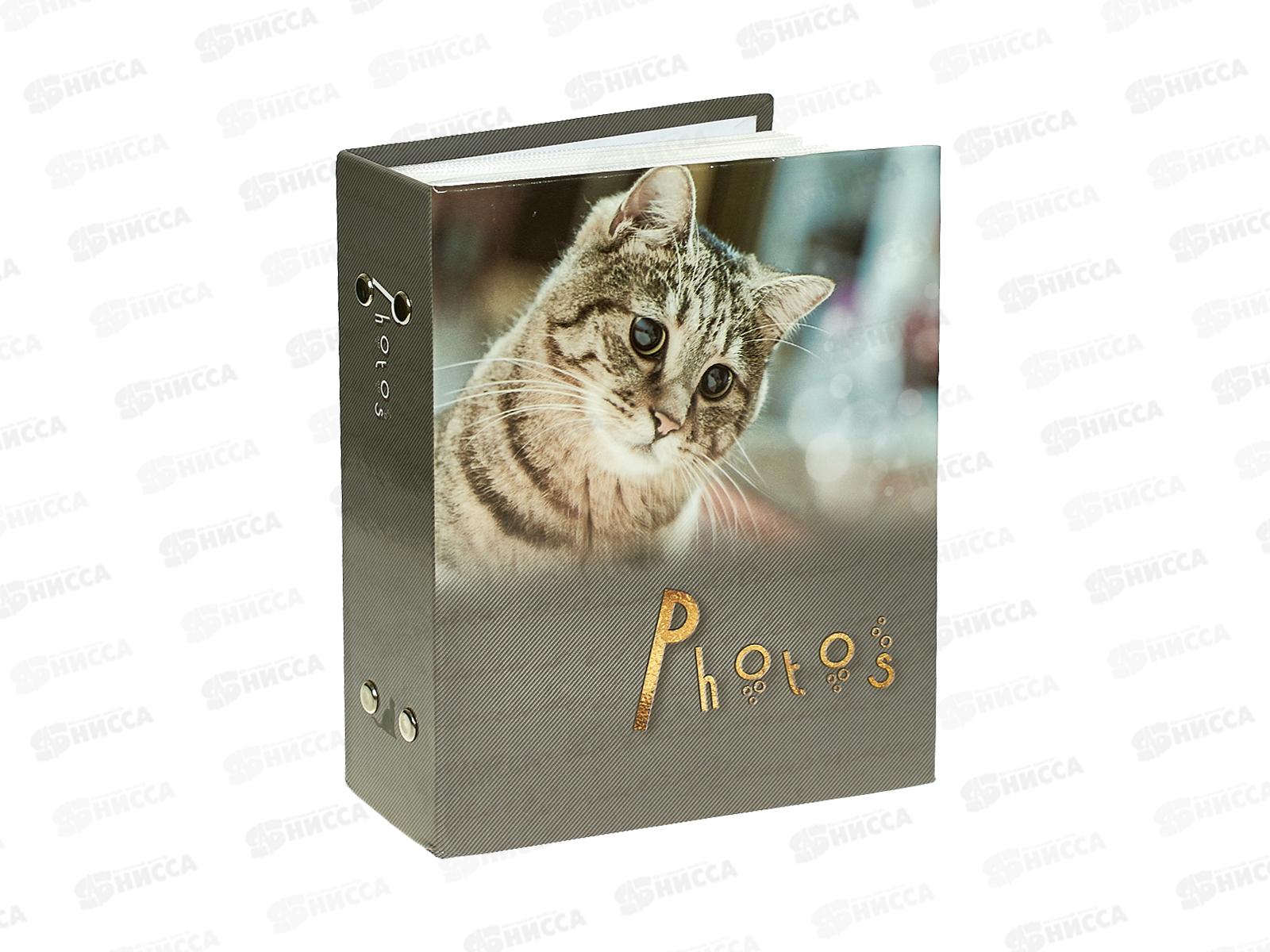 Фотоальбом PLATINUM PP-46100S кошки-3*12