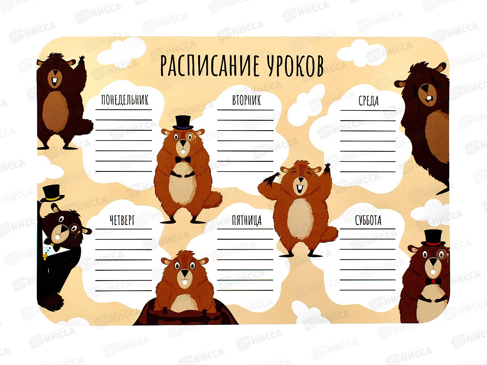 Покрытие на стол д/лепки  А4 ПЧЕЛКА Расписание уроков 2024, НПД-1 *50