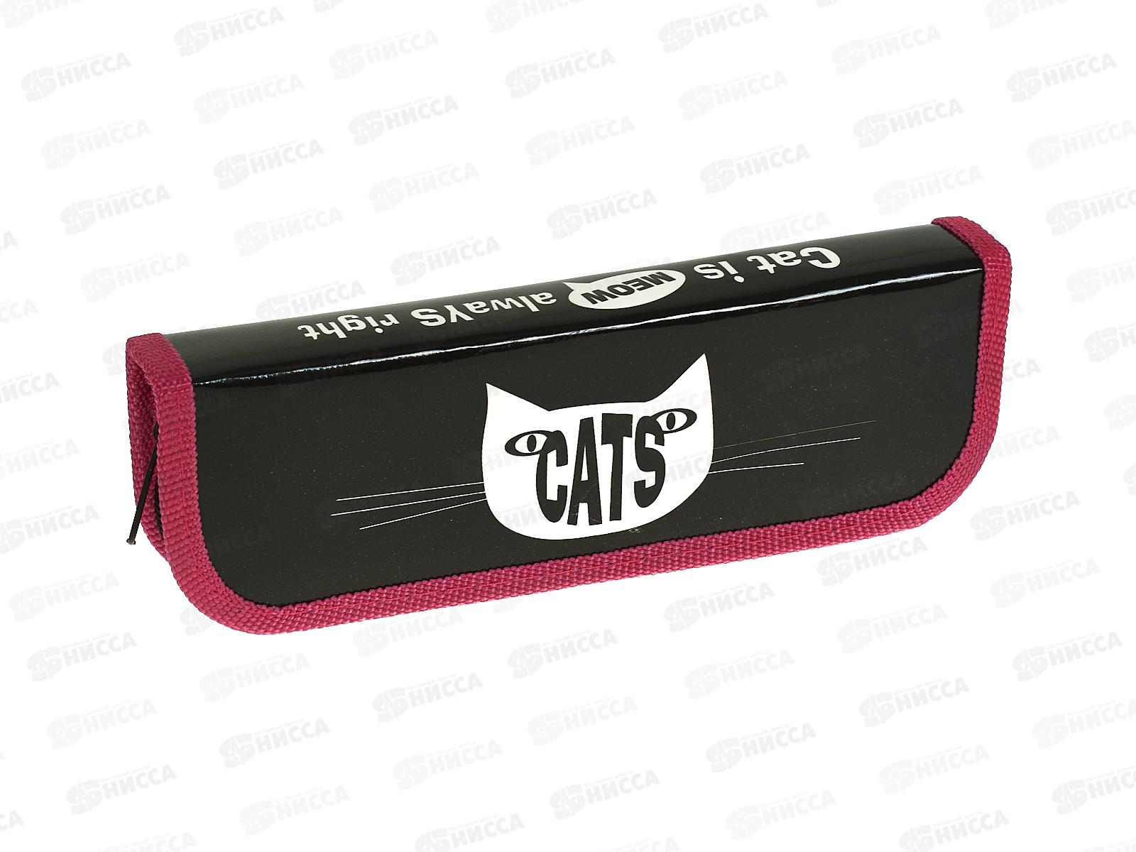 Пенал ПЧЕЛКА 1 отд. Cats 2023 190*65 ПО-01  *60