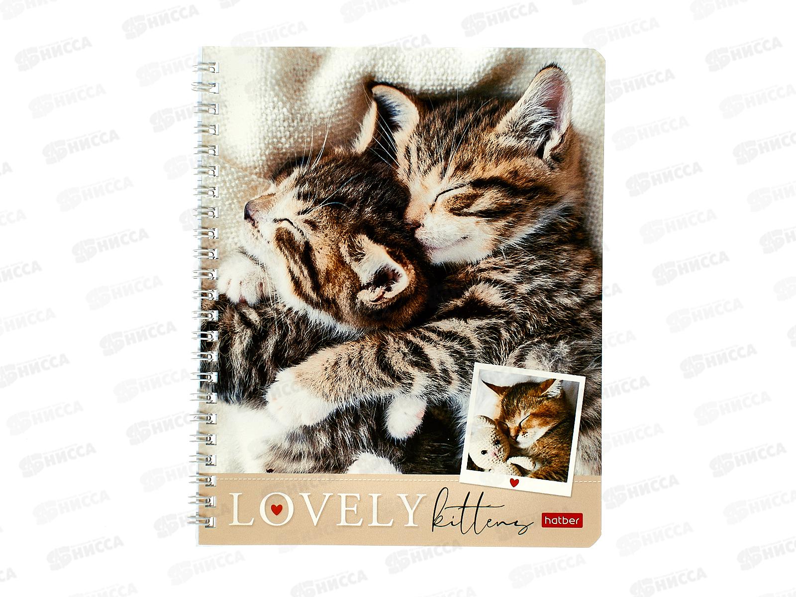Тетрадь 48листов линия Hatber Мяу-Котики,греб.,087072 *4/96