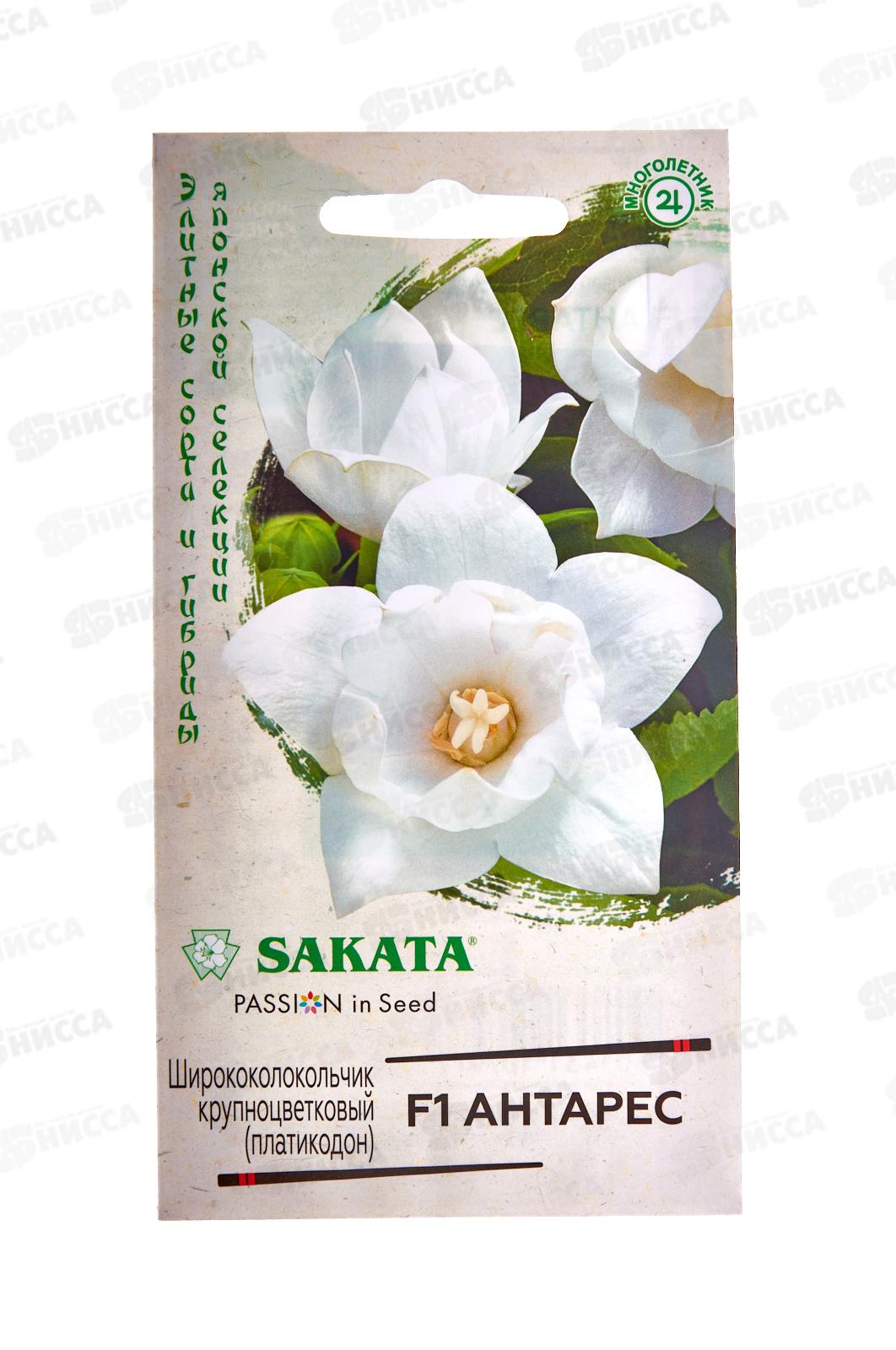 Ширококолокольчик Антарес крупн F1 4шт Н21 *10 ГШ + СРОК ДО 12.25