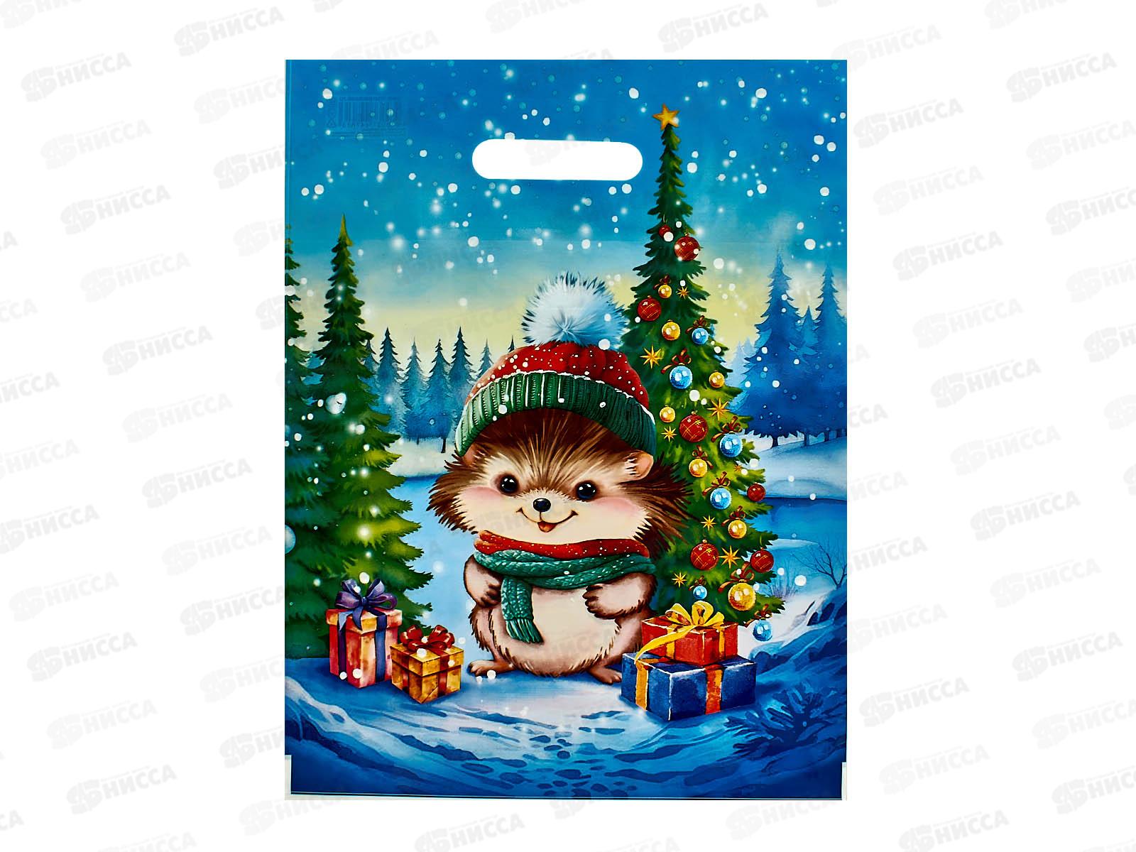 Пакет пробивной НГ 31*40 Колючка *50/500