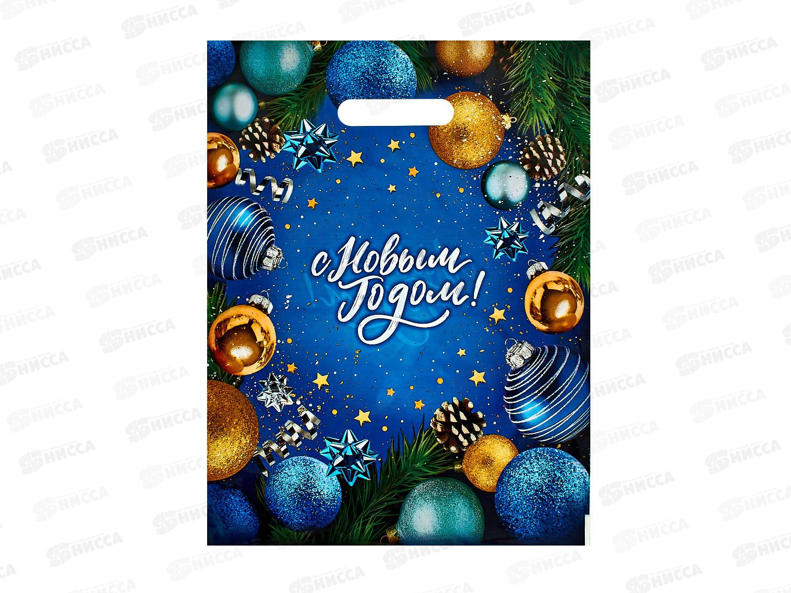 Пакет пробивной НГ 31*40 Сокровищница *50/500