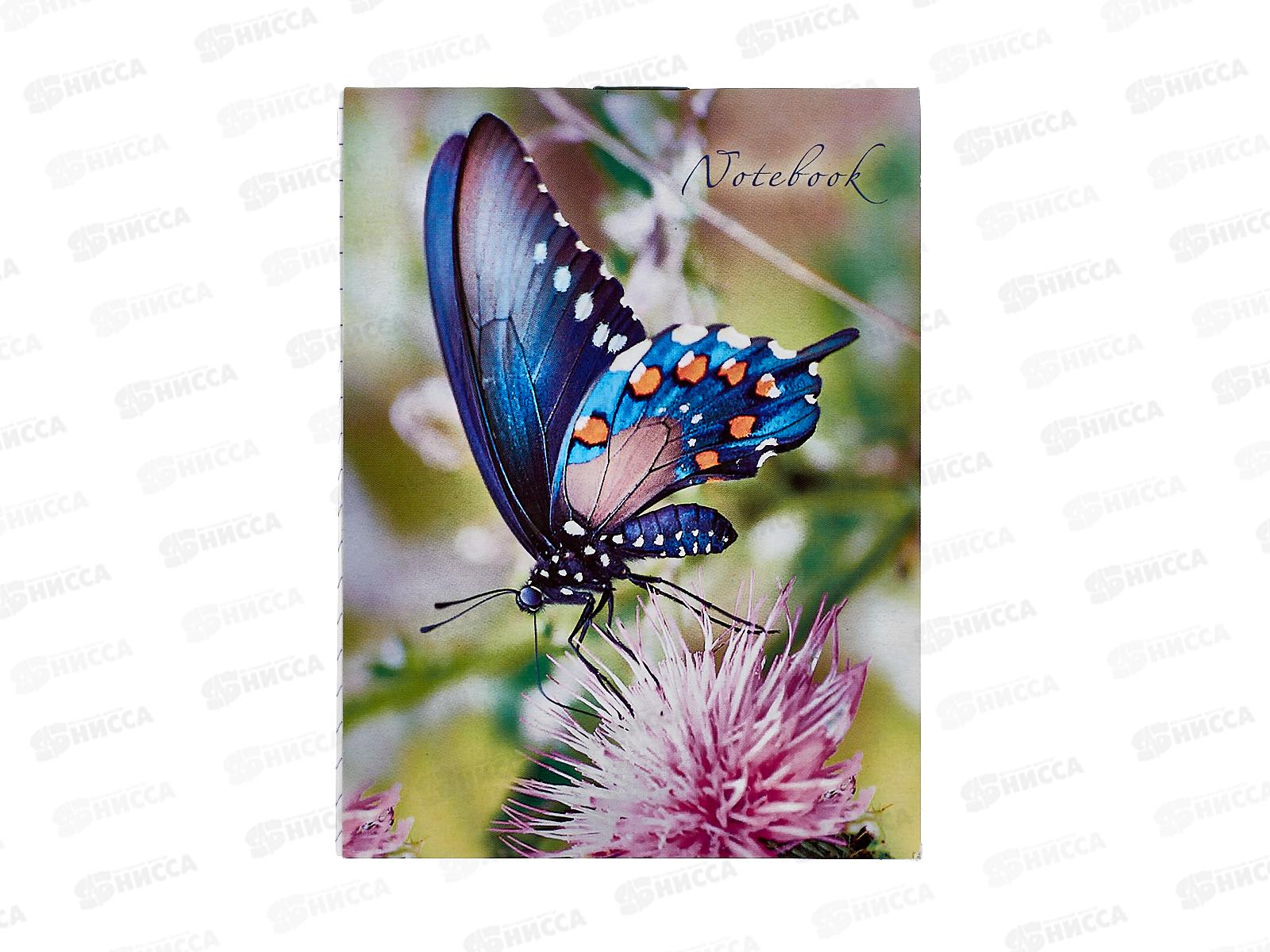 Блокнот 24л ПГС Бабочки, 110*80 *24
