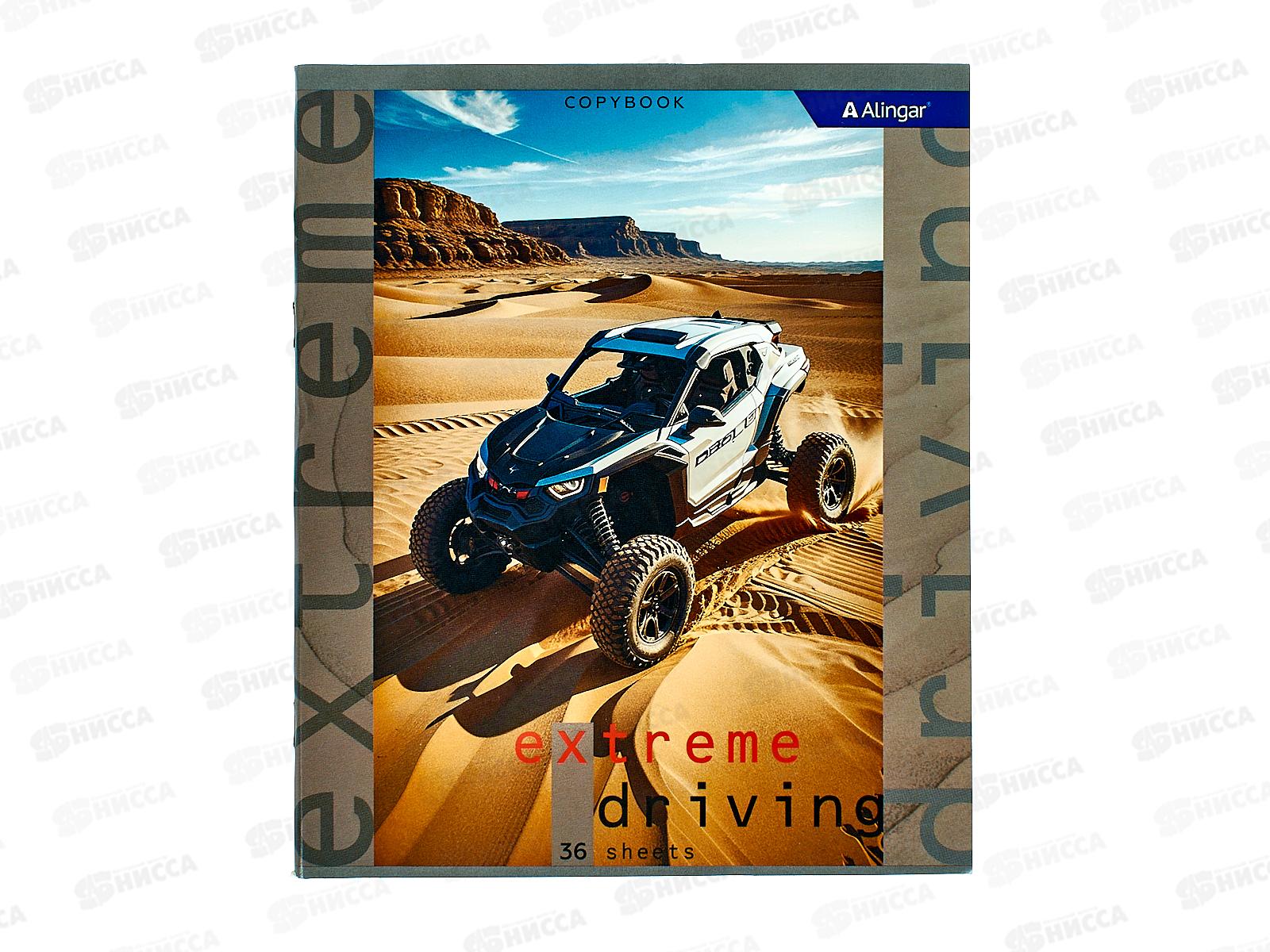 Тетрадь 36листов  клетка  Alingar &quotExtreme driving&quot А5 4 дизайна AL10818 *12/72