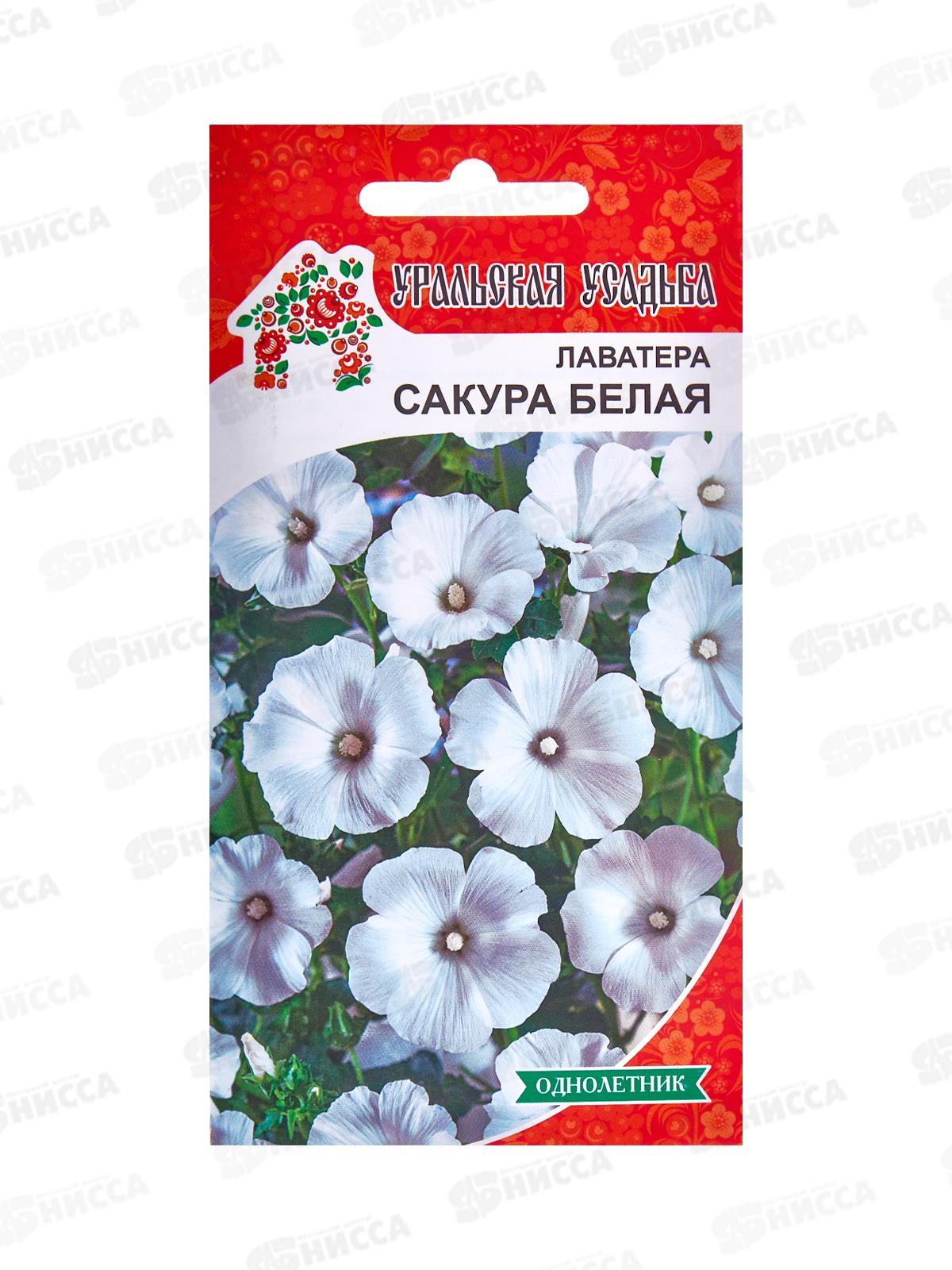 Лаватера Сакура белая Евро  *10 УрД