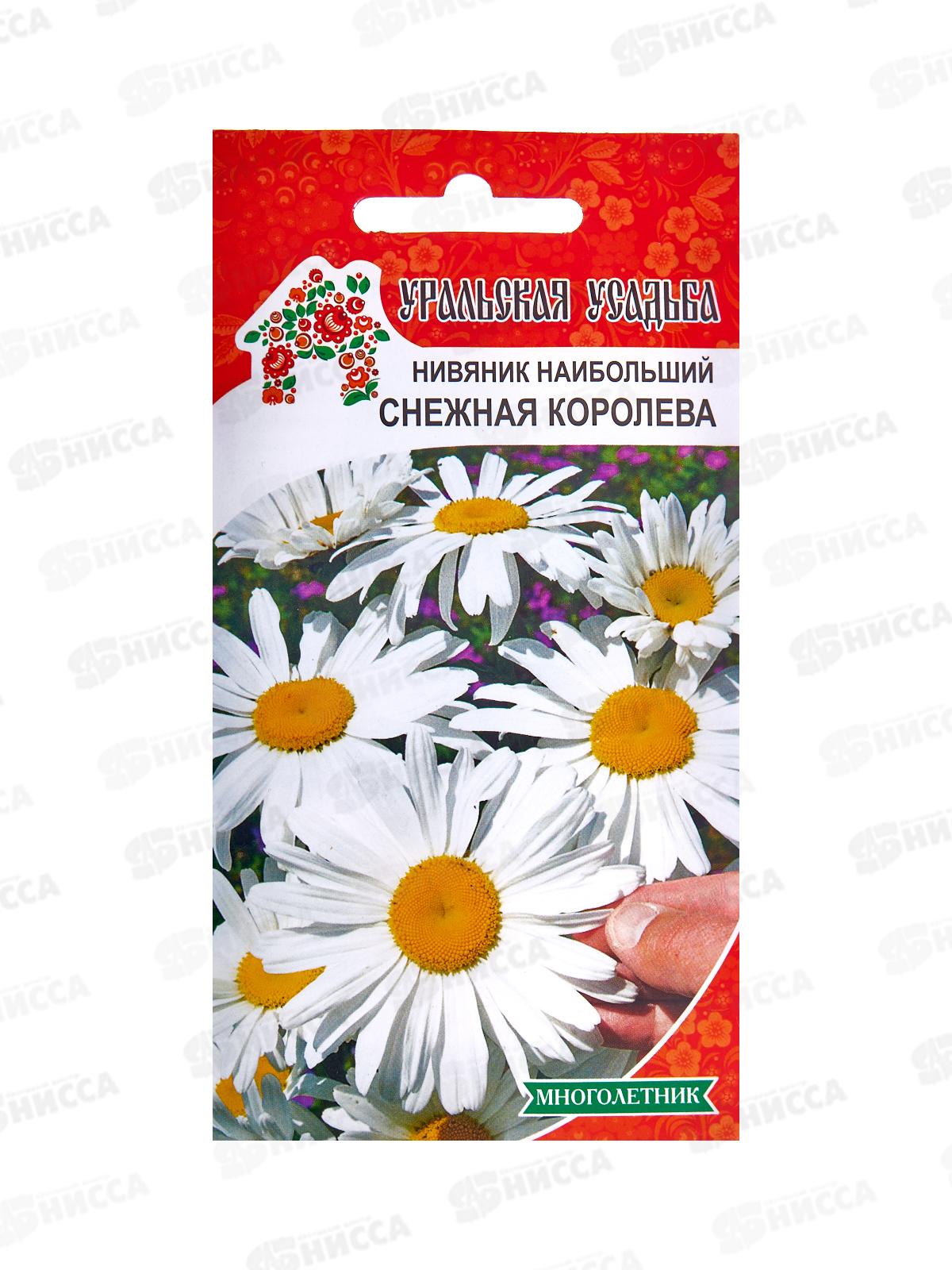 Нивяник Снежная королева УУ Евро *10 УрД