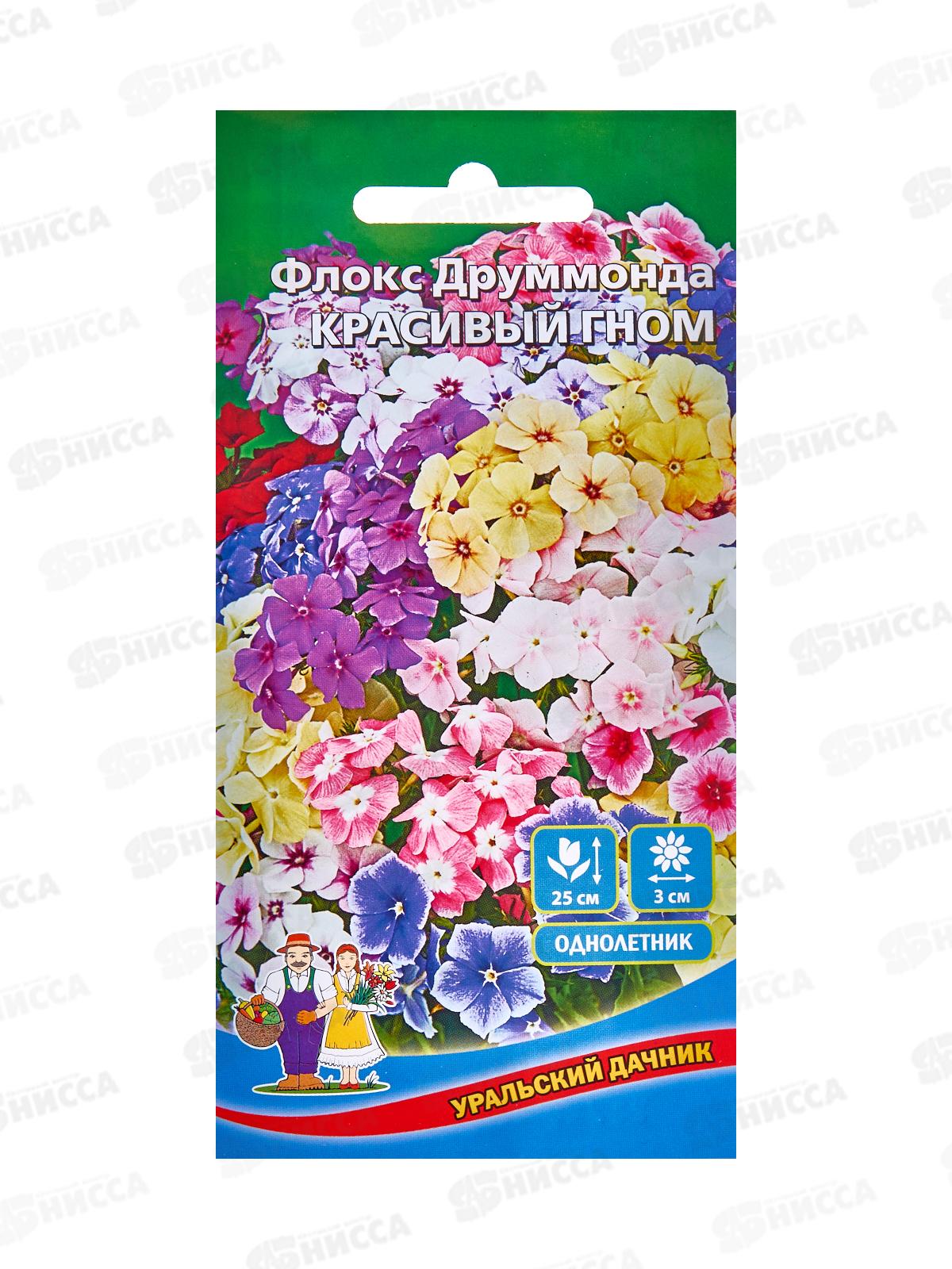 Флокс друммонда Красивый гном Евро *10 УрД