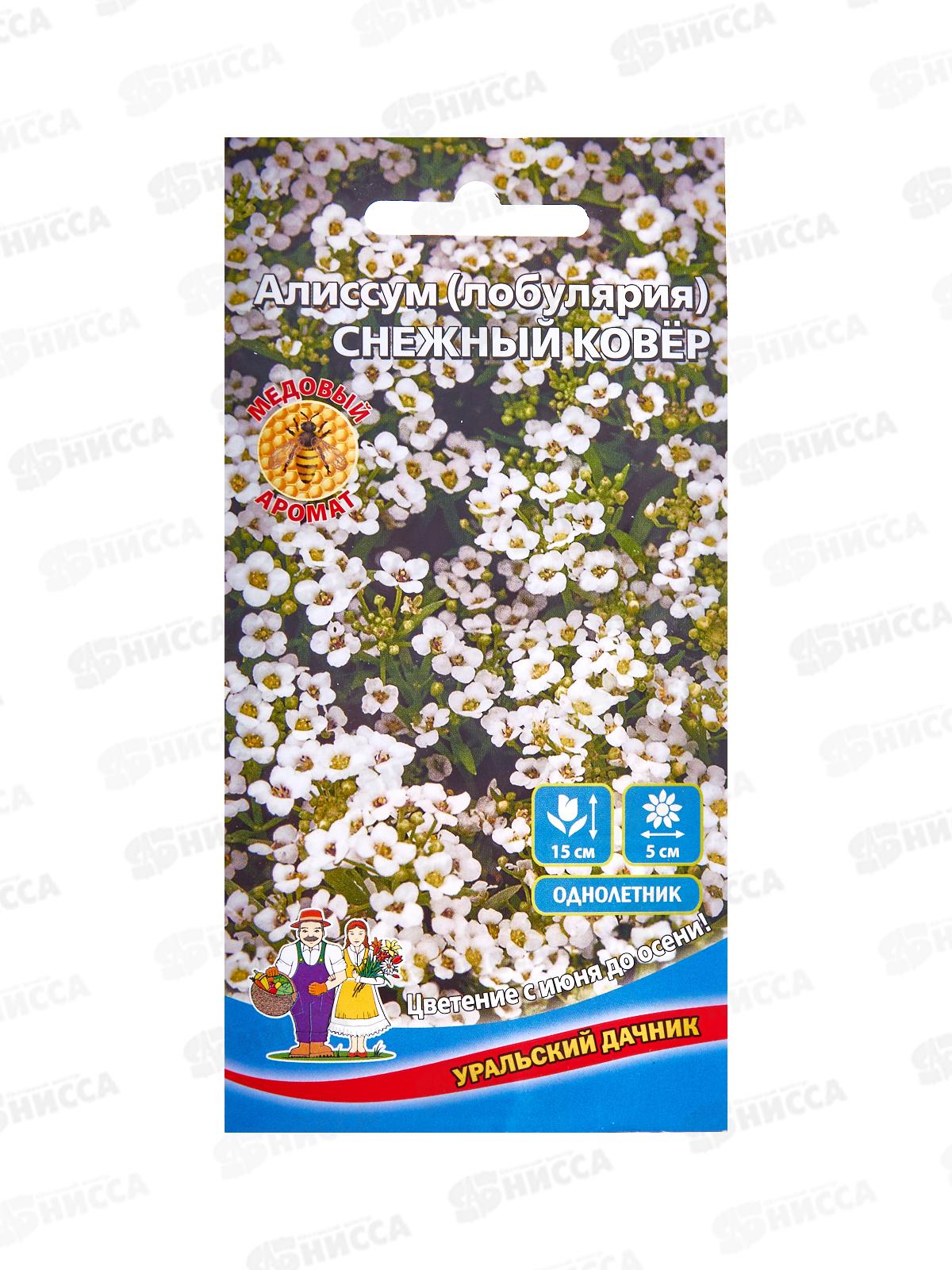 Алиссум Снежный ковер Евро *10 УрД