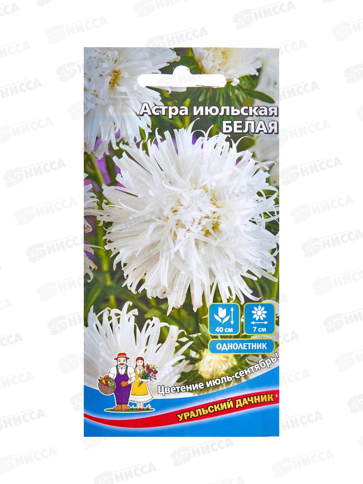 Астра Июльская Белая Евро *10 УрД