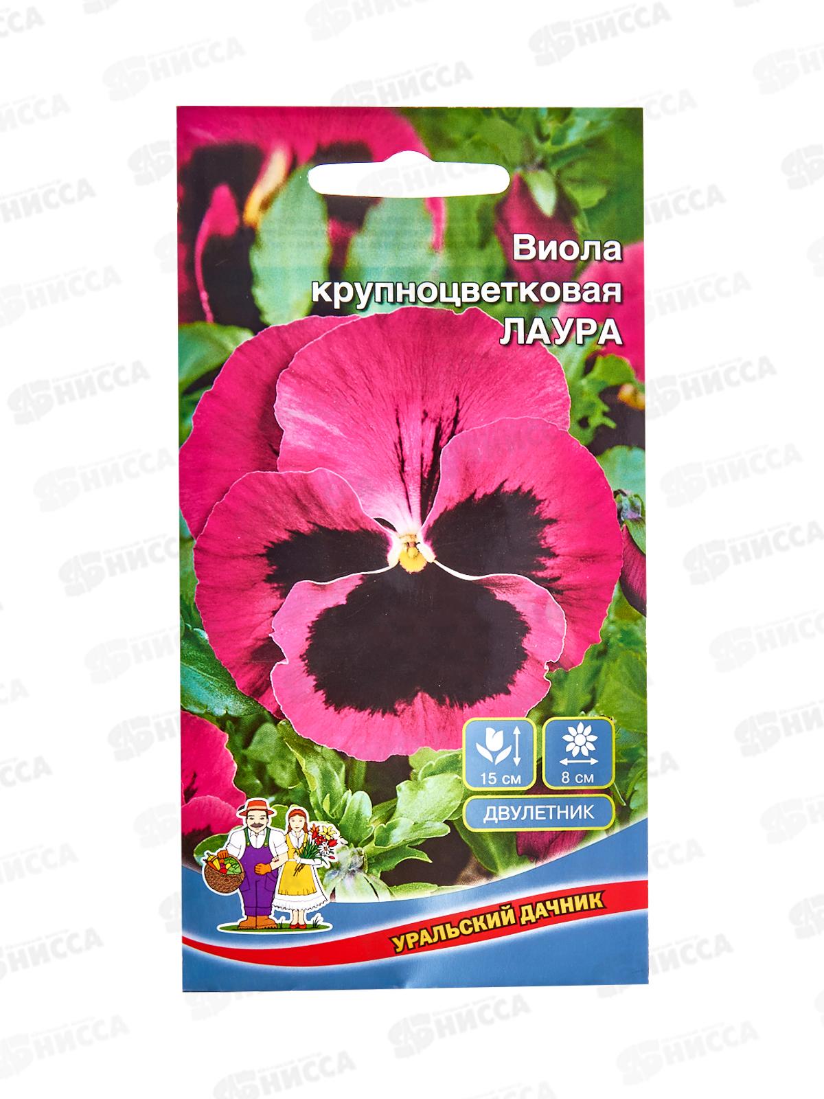 Виола Лаура Евро крупноцветковая *10 УрД +