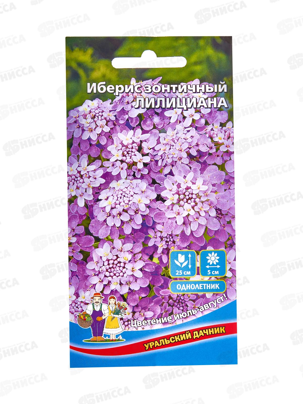 Иберис Лилициана Евро *10 УрД +