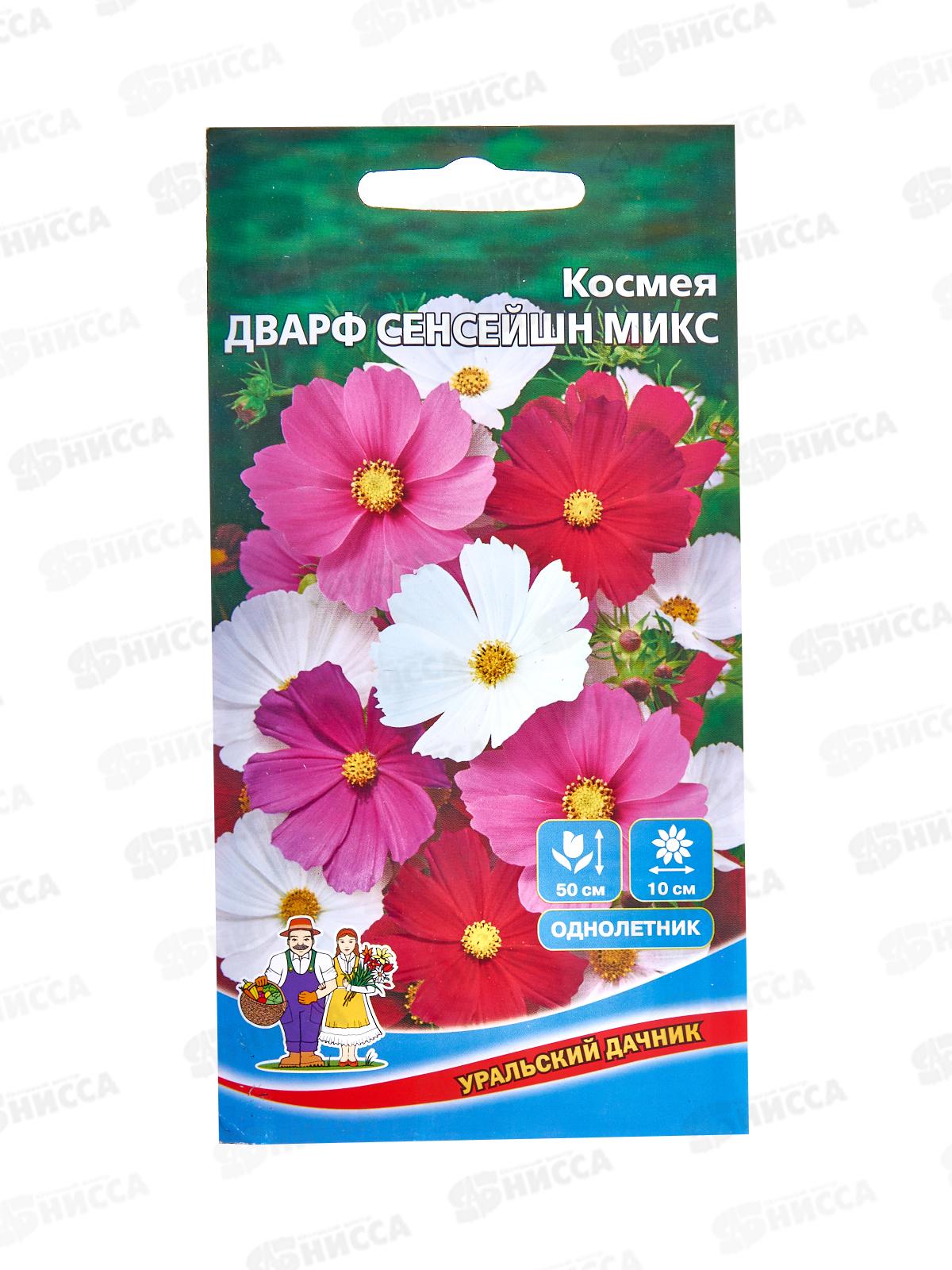 Космея Дварф сенсейшн микс Евро *10 УрД