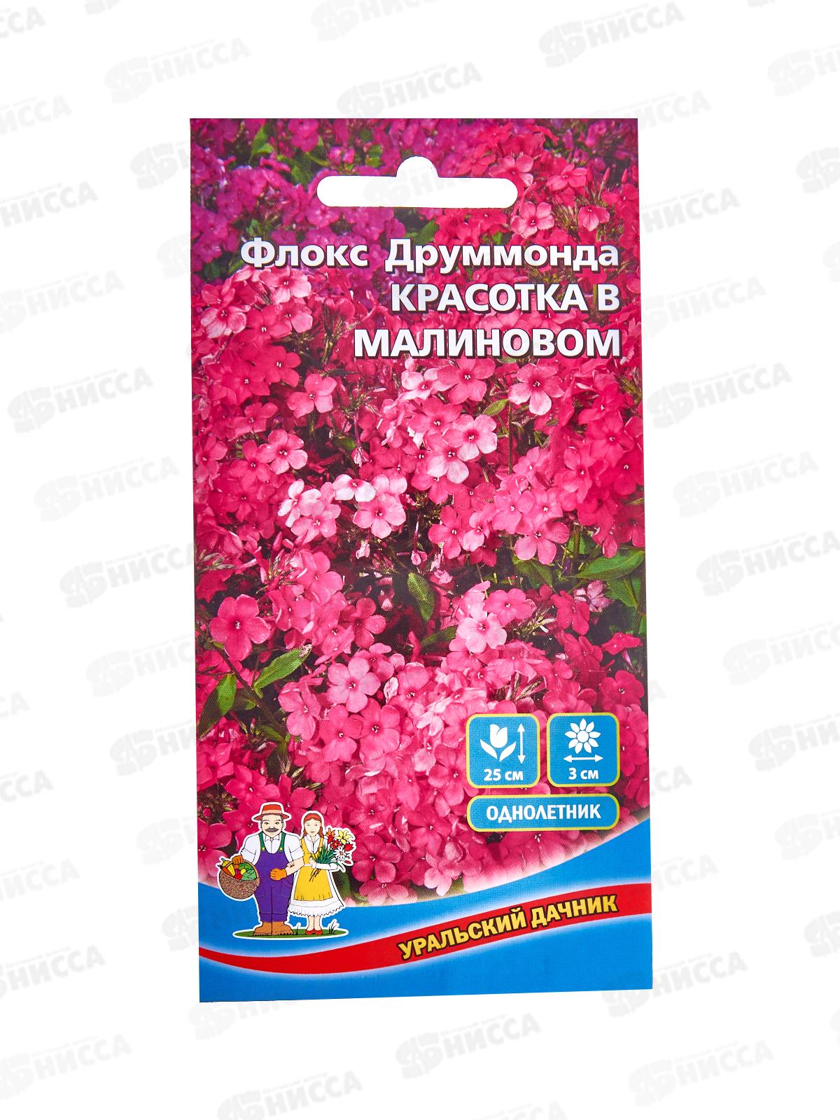 Флокс друммонда Красотка в малиновом Евро *10 УрД +