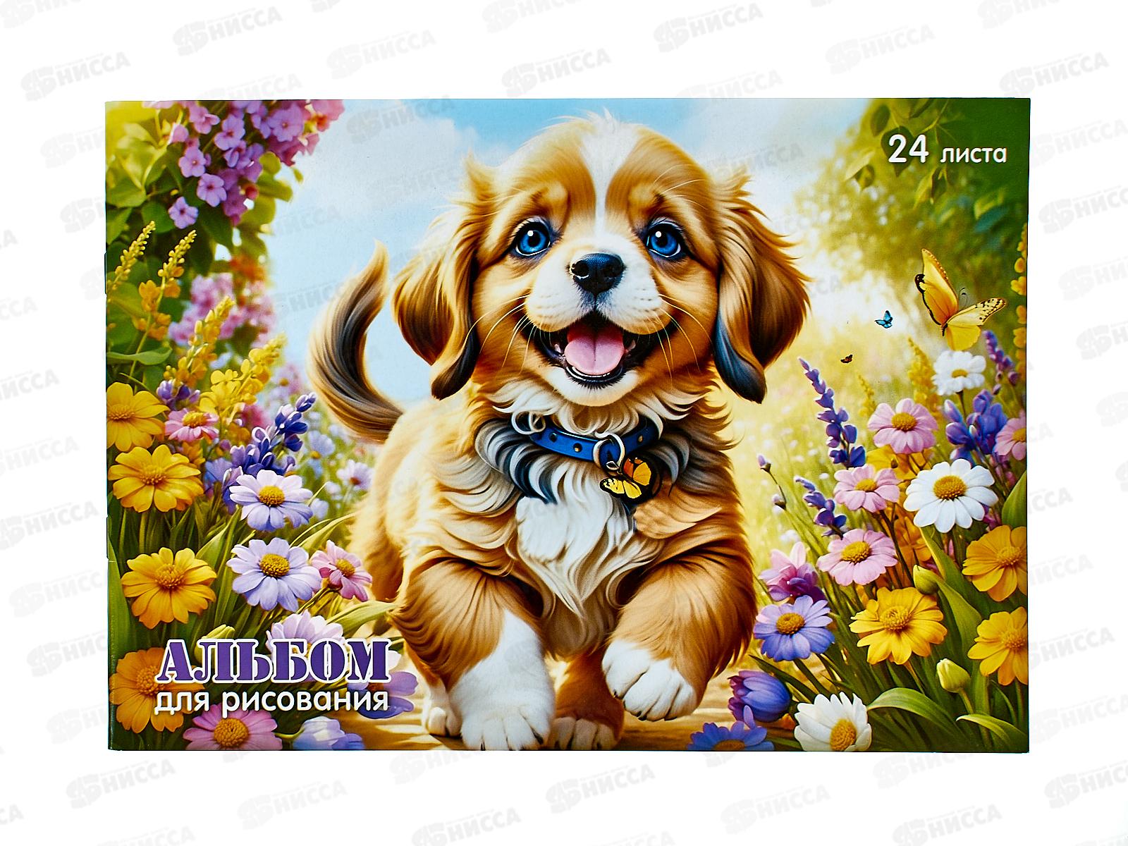 Альбом для рисования 24л ПГС Щенята 1 *20